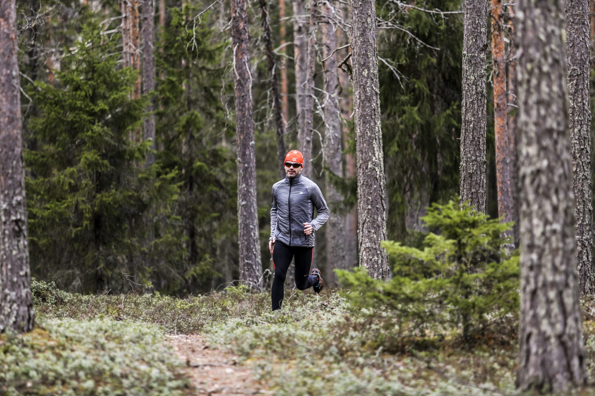 Mooiste hikes van Finland