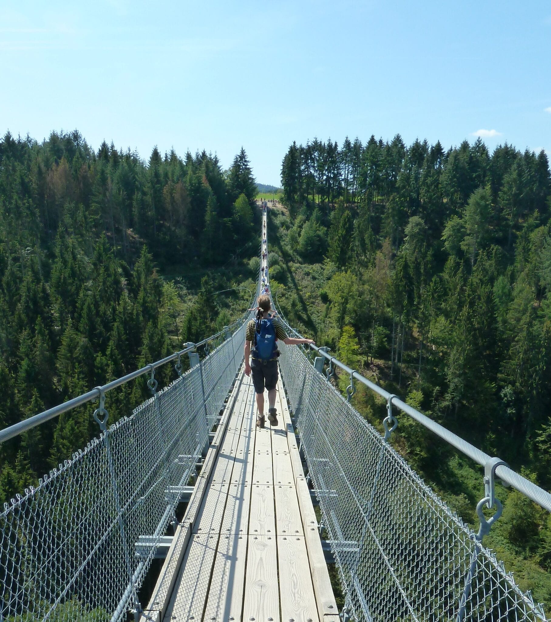 Geierlay hangbrug