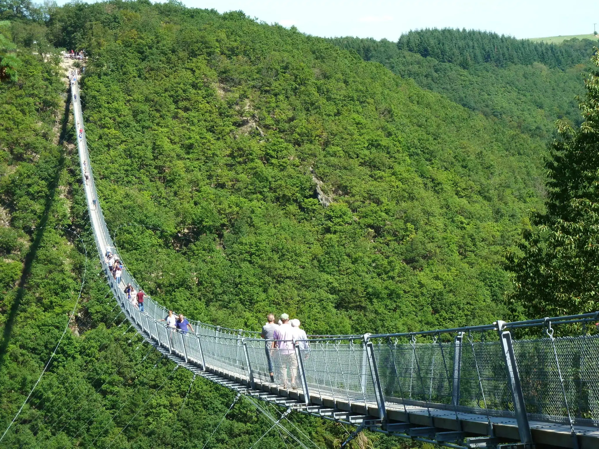 Geierlay hangbrug