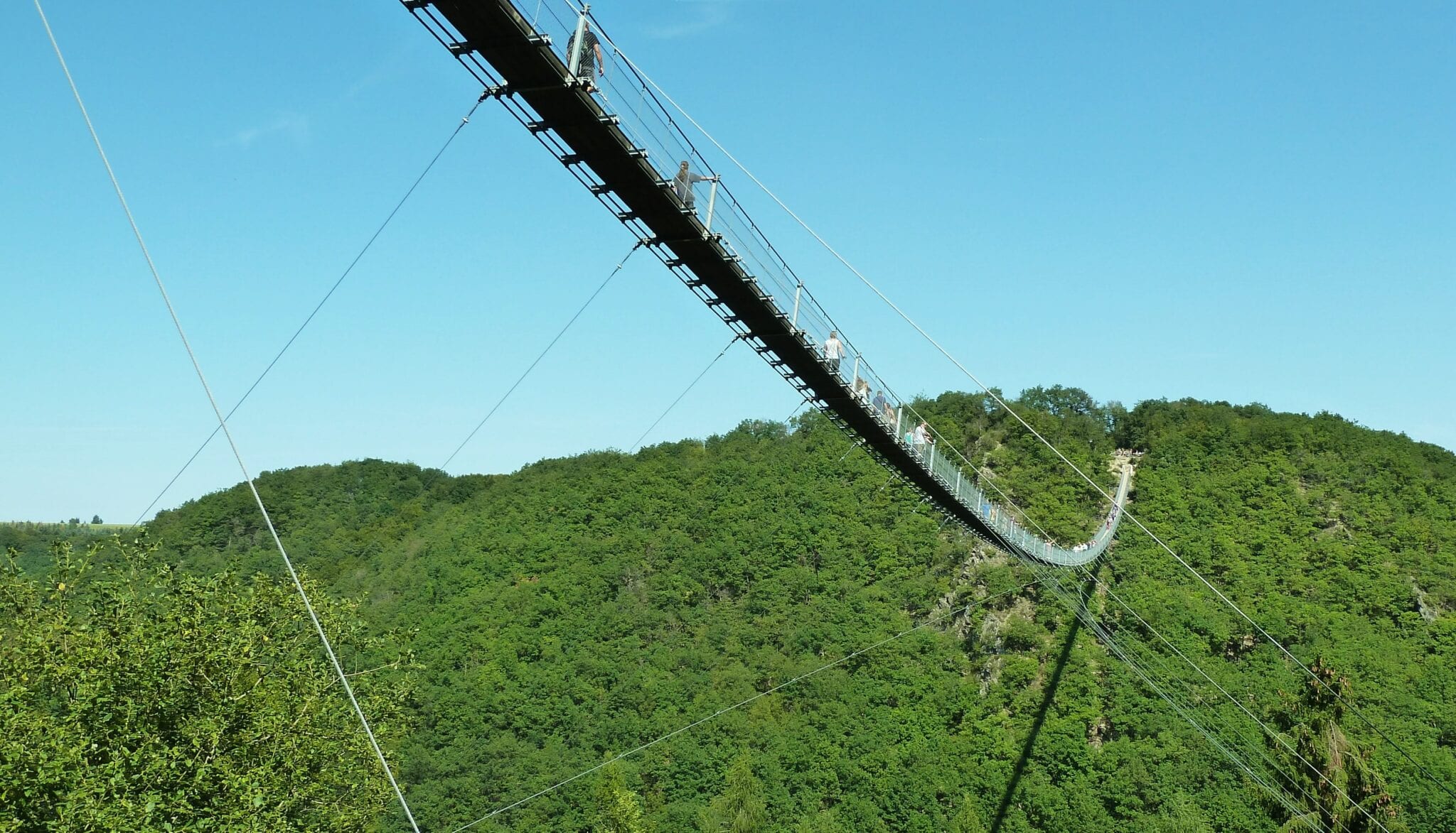 Geierlay hangbrug