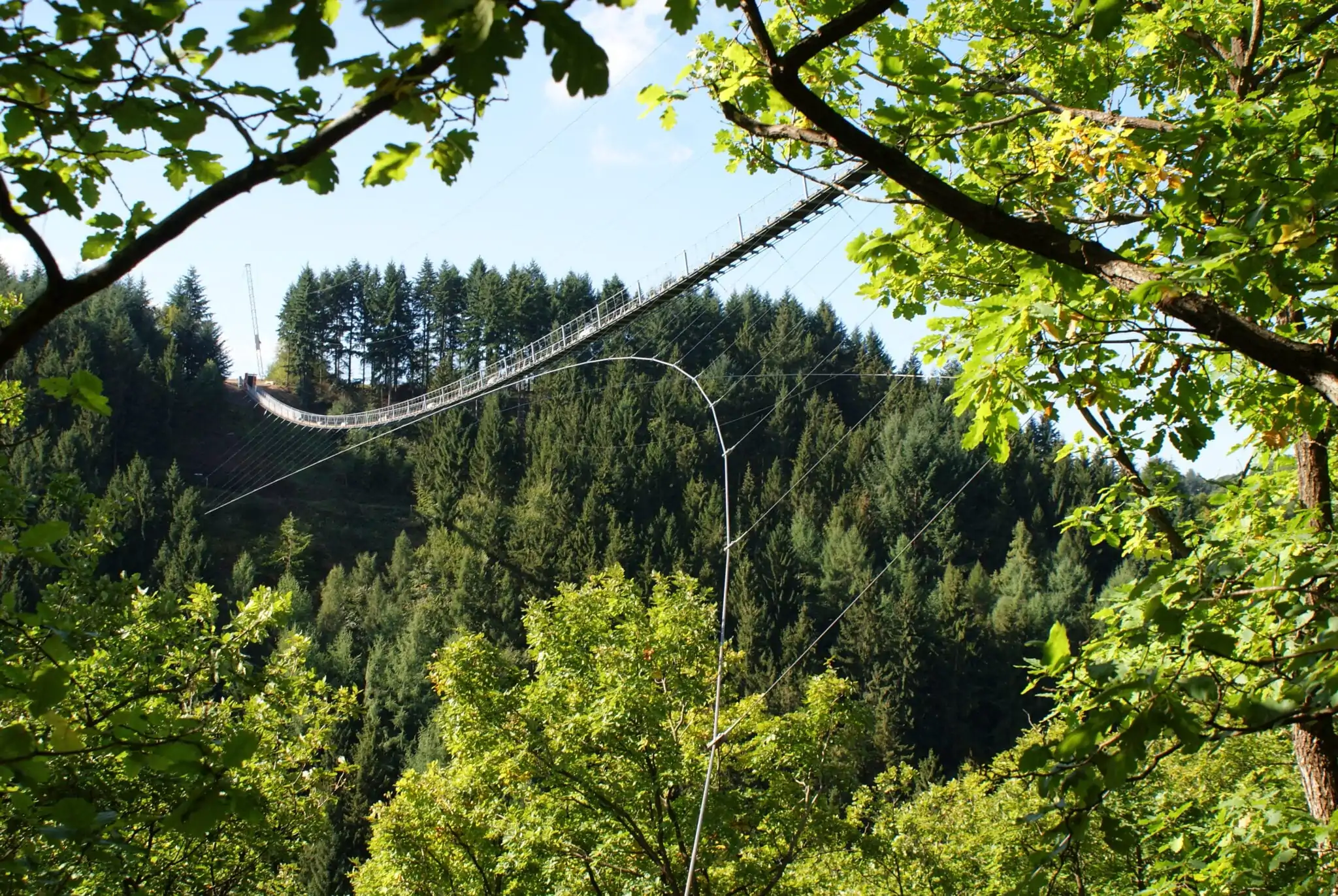 Geierlay hangbrug-credits Municipality of Mörsdorf, Ingo Börsch