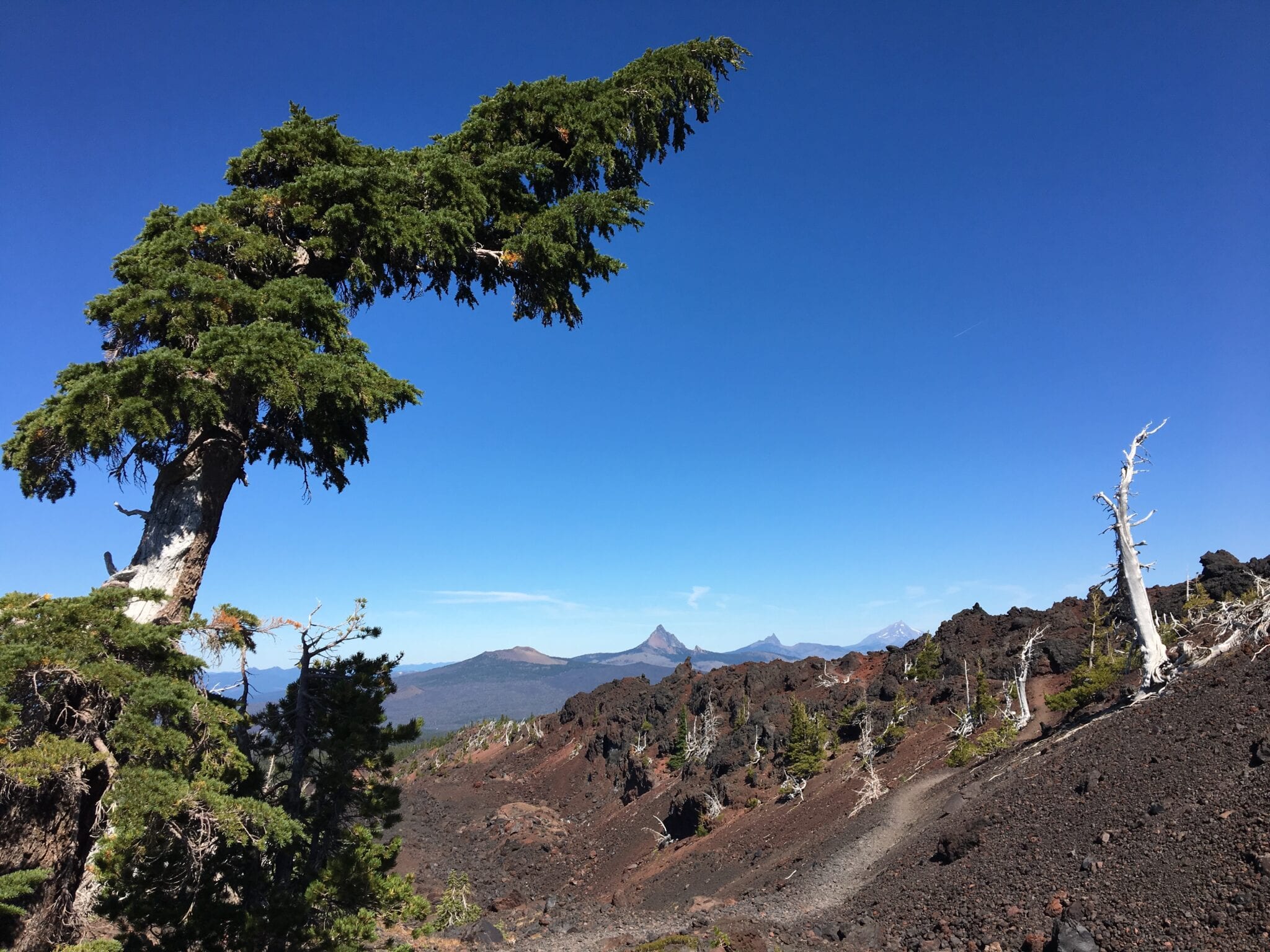 Three Sisters Wilderness