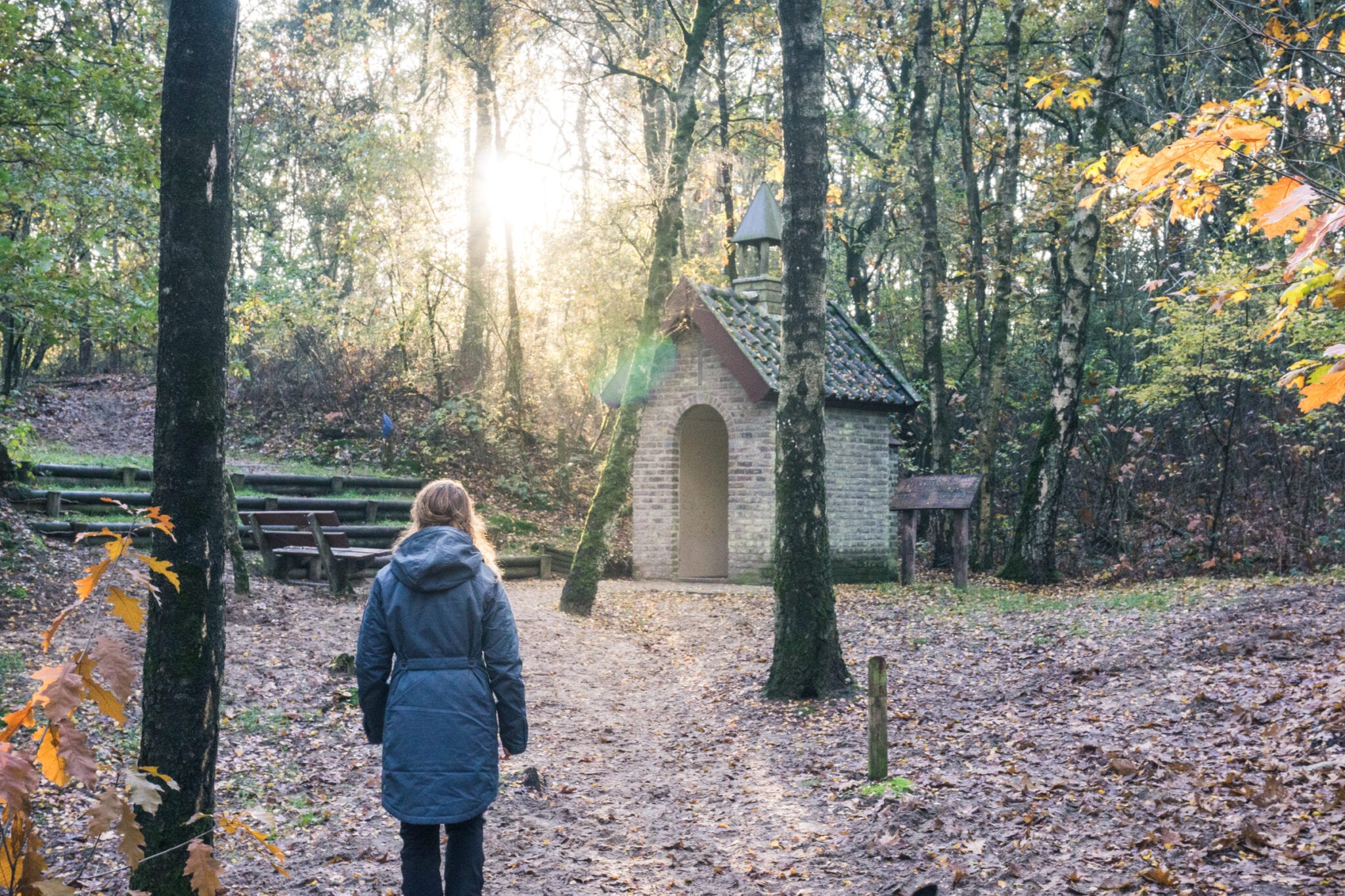 De Maasduinen Header