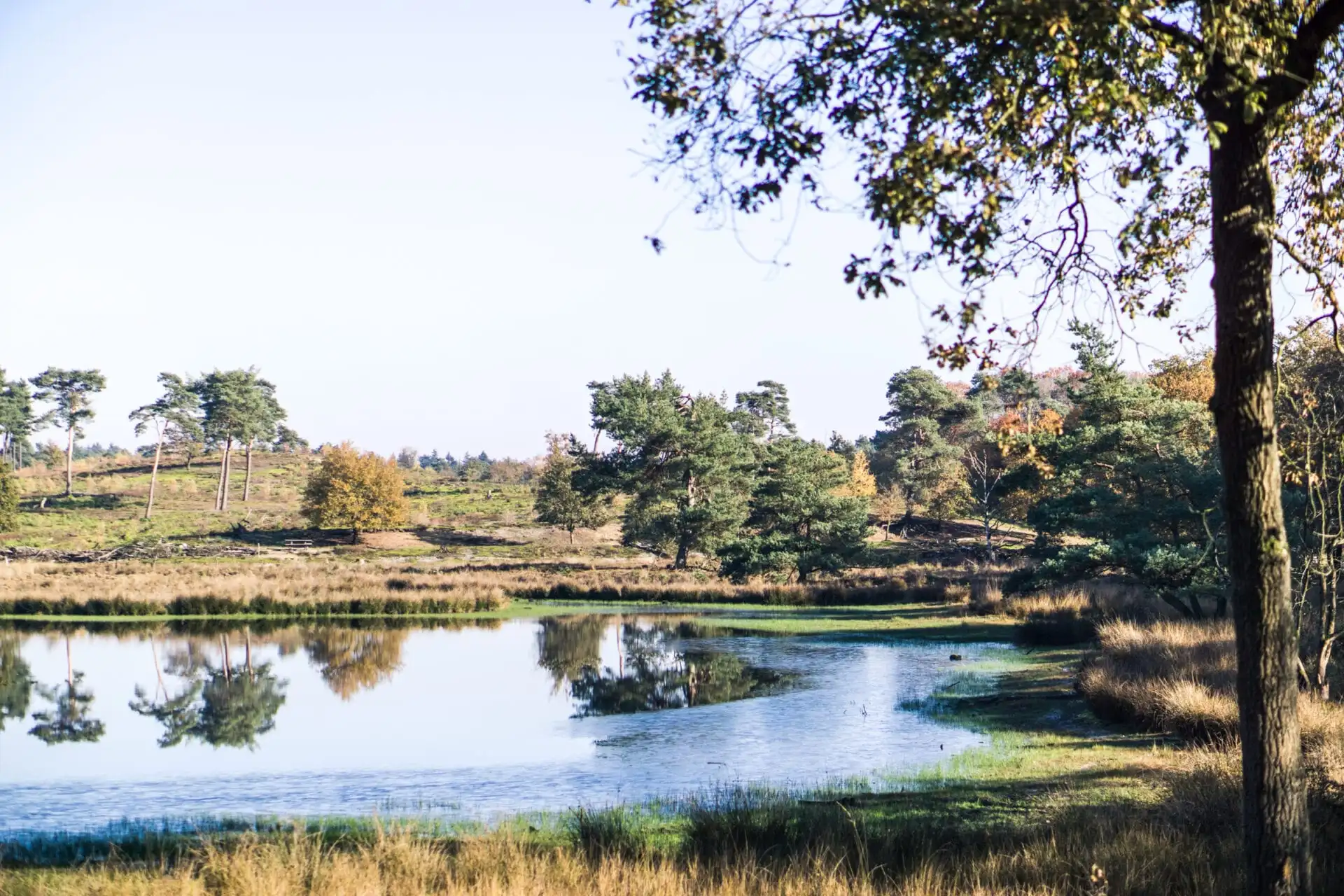 De Maasduinen - Nederlandse Nationale Parken #1 - The Hike