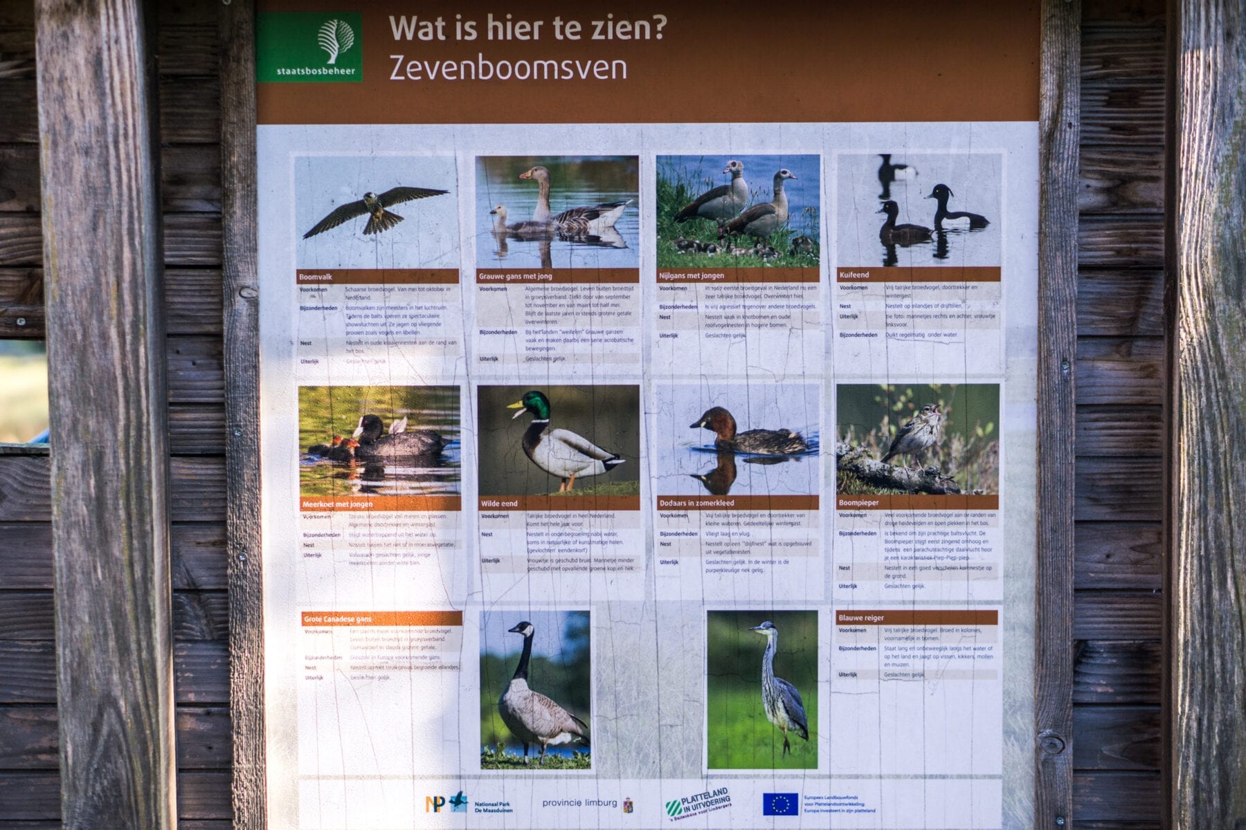 De Maasduinen Zevenboomsven