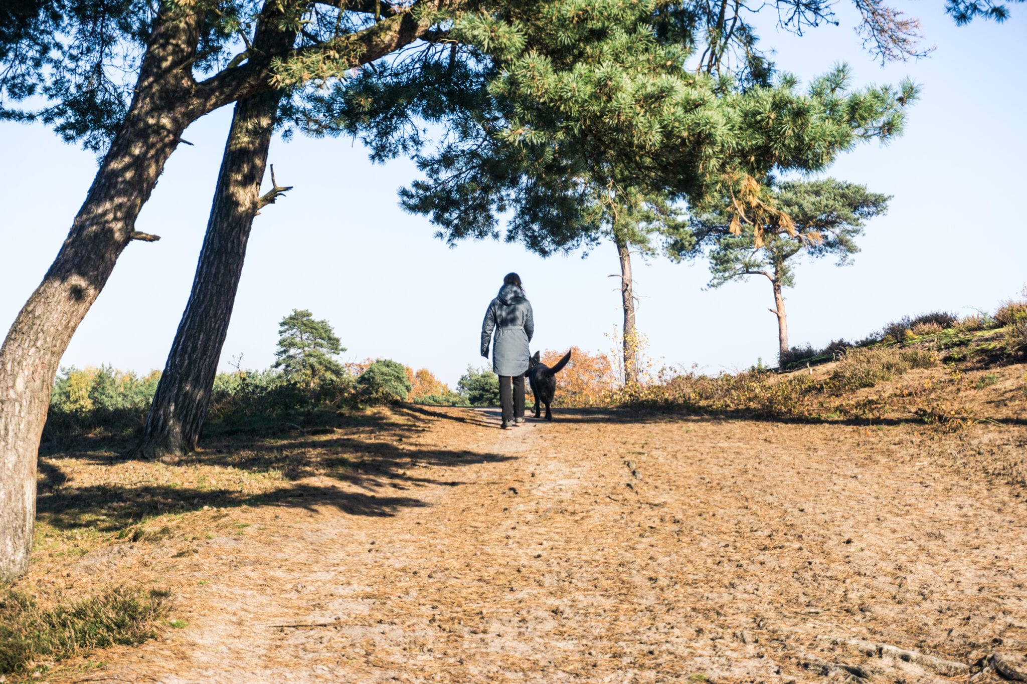 Maasduinen met hond