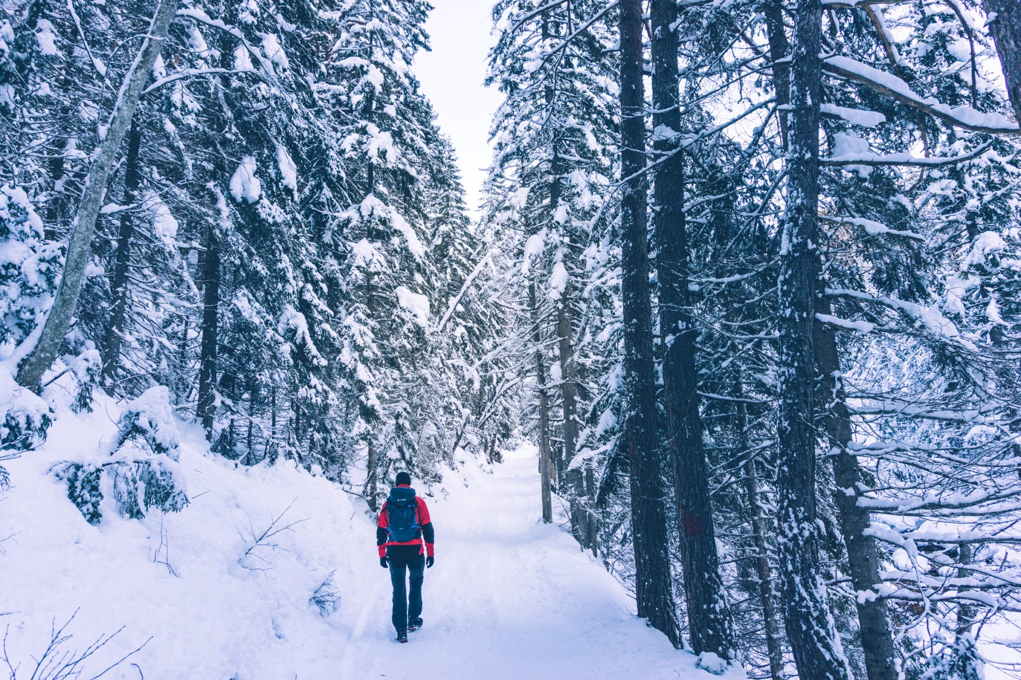 sleeën in innsbruck