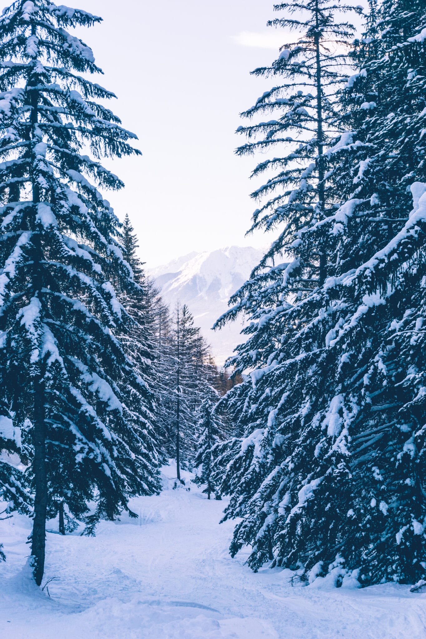 sleeën in innsbruck