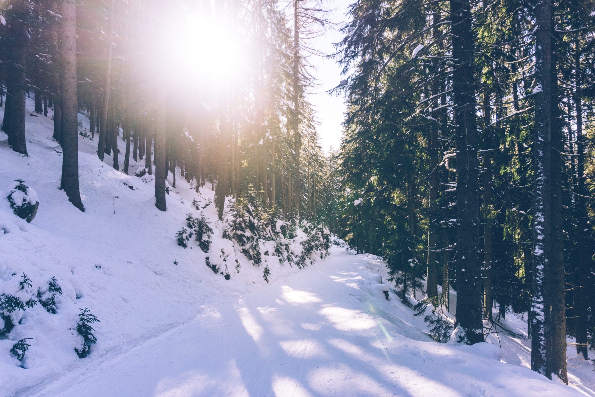 sleeën in innsbruck