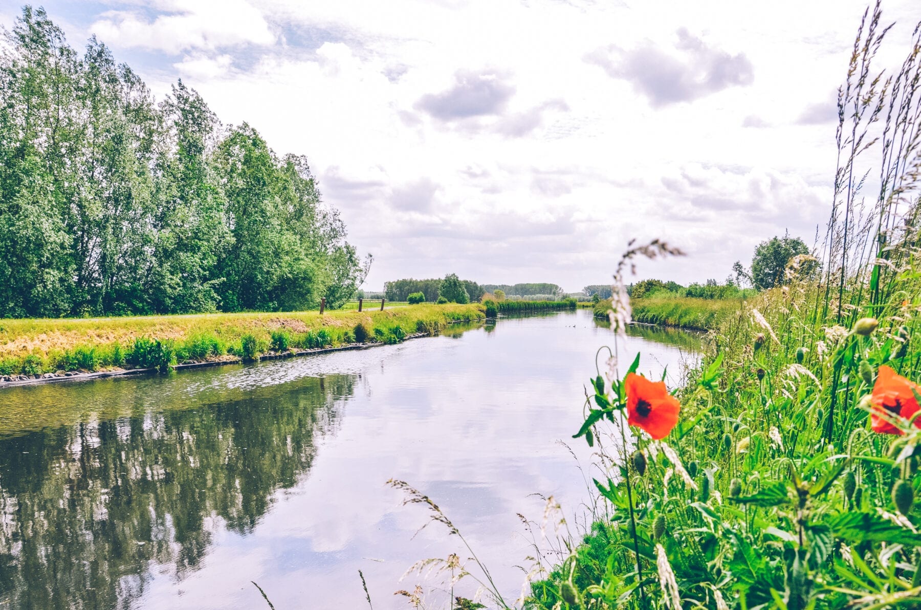 beste wandelroute van het jaar 2020 beneleux