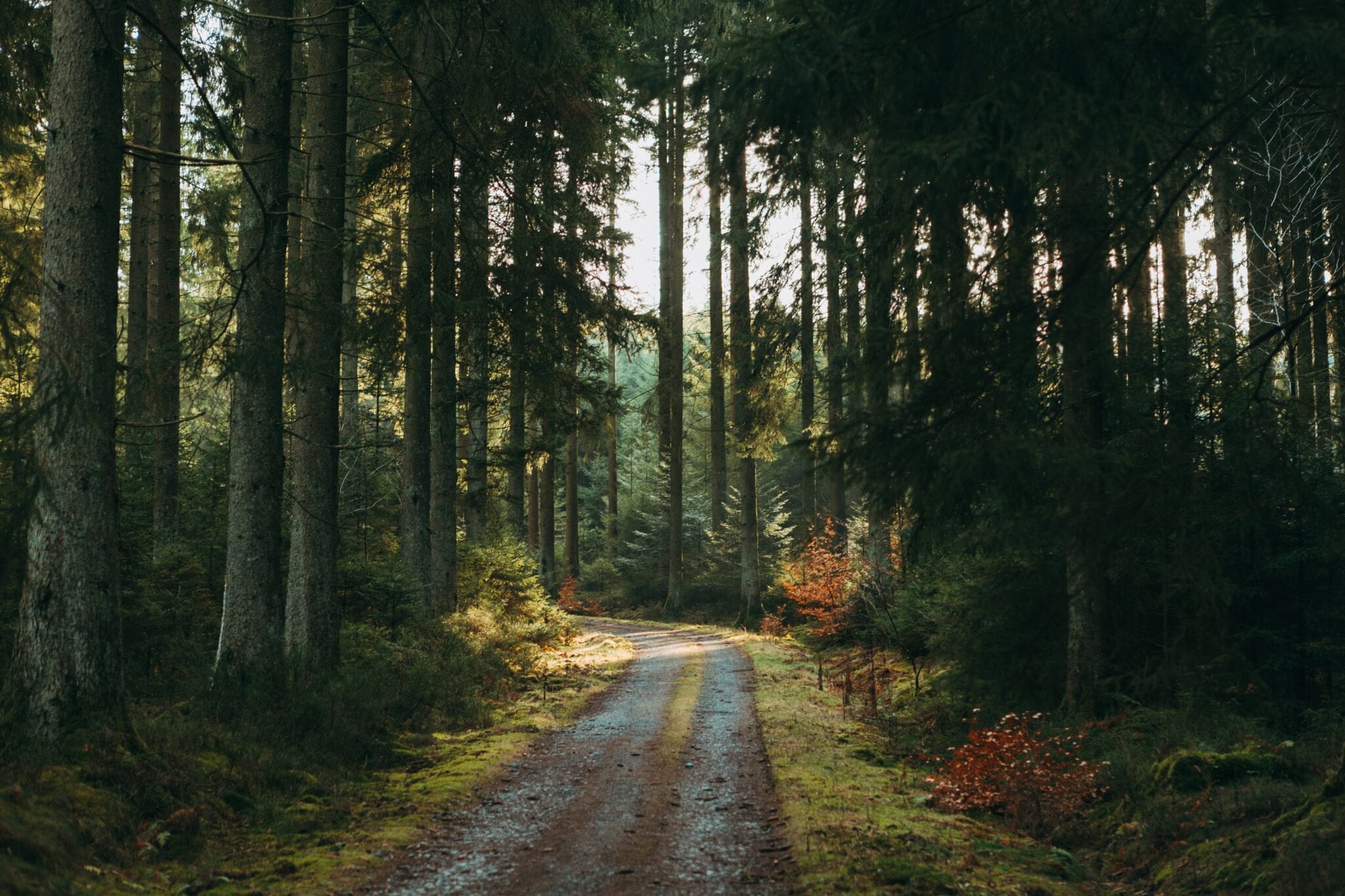 beste wandelroute van het jaar header