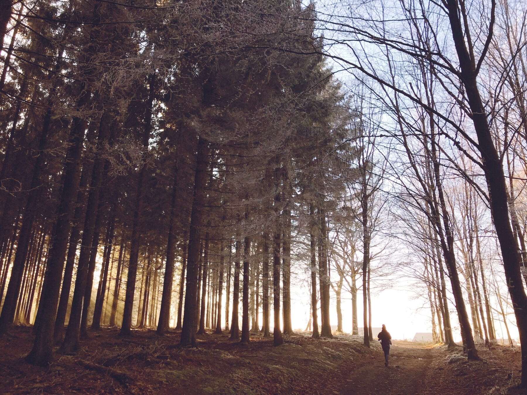 beste wandelroute van het jaar belgie