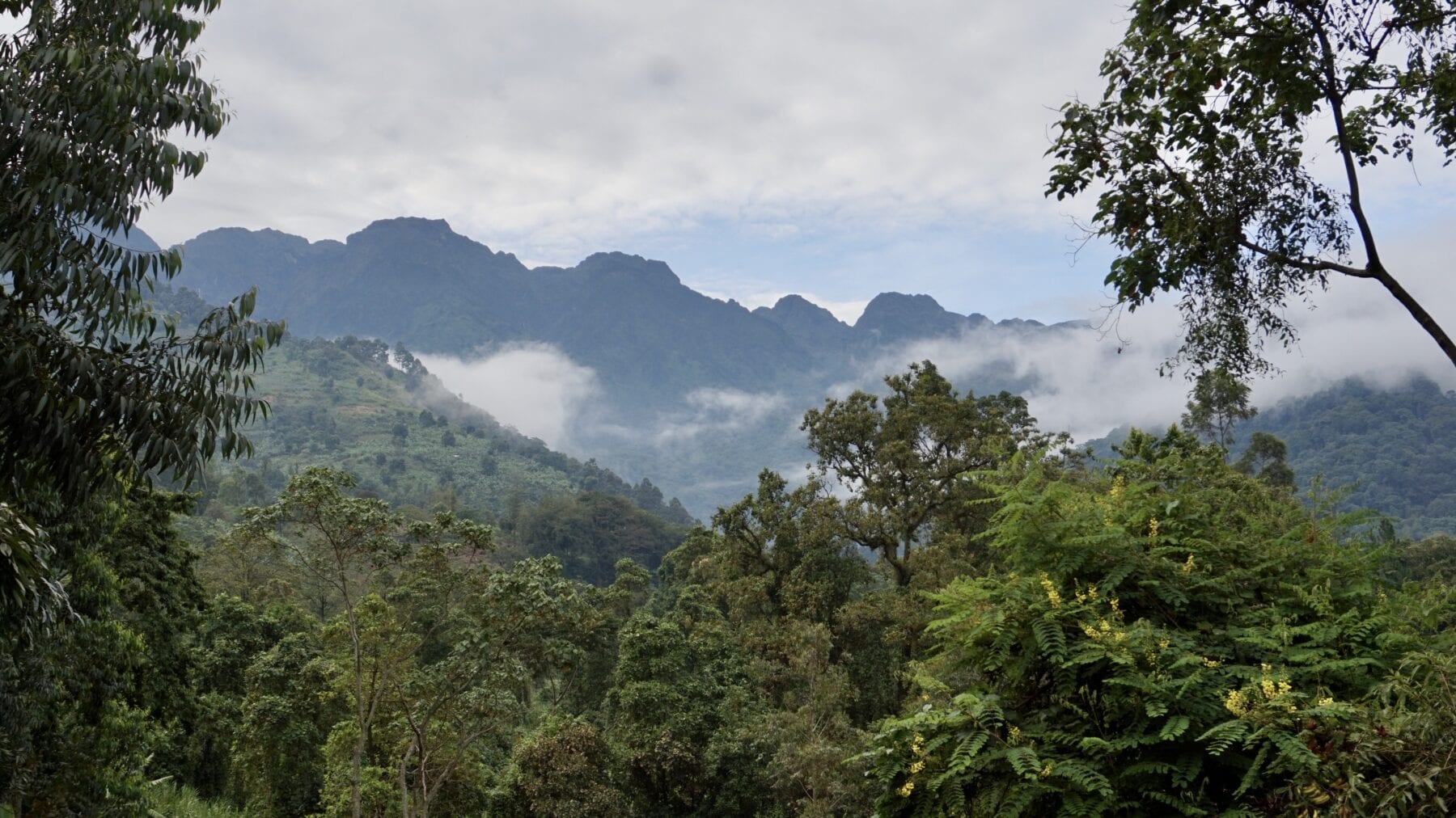 Hiken Rwenzori