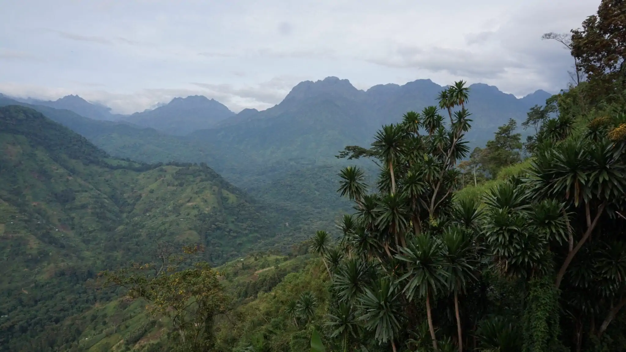 Hiken Rwenzori