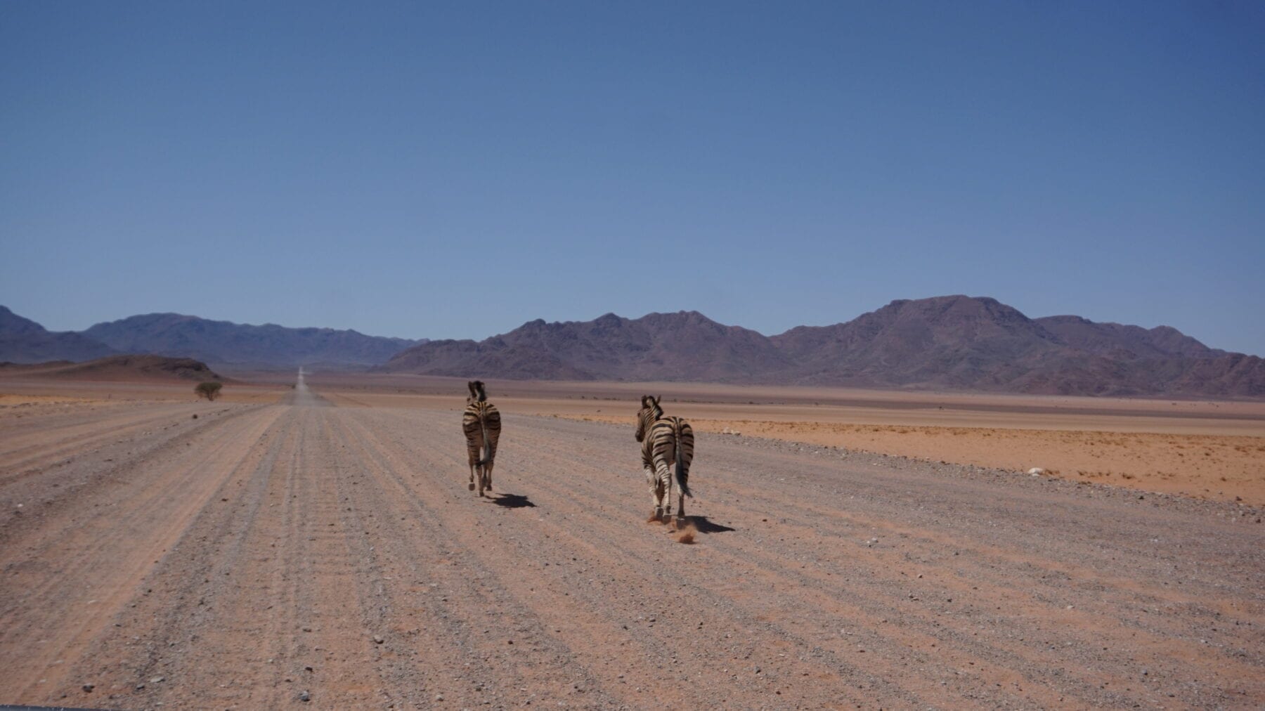 Rondreis Zuidelijk Afrika 4x4 Route