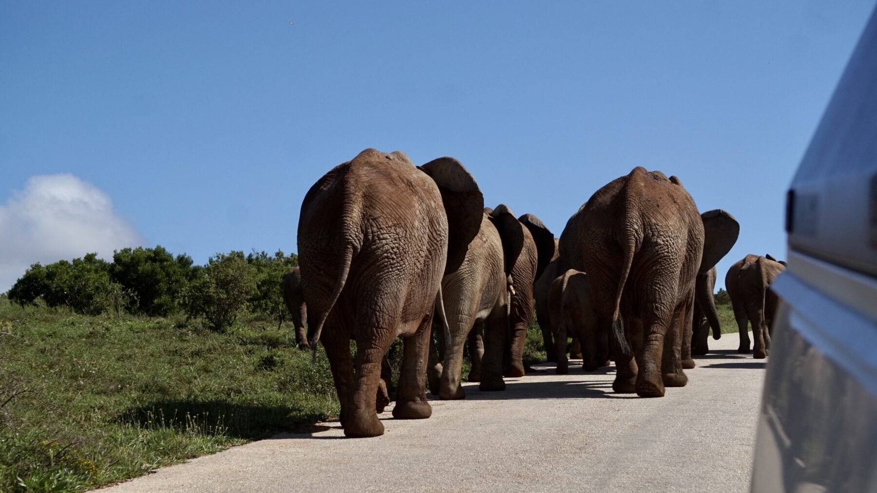 Rondreis Zuidelijk Afrika 4x4 Route