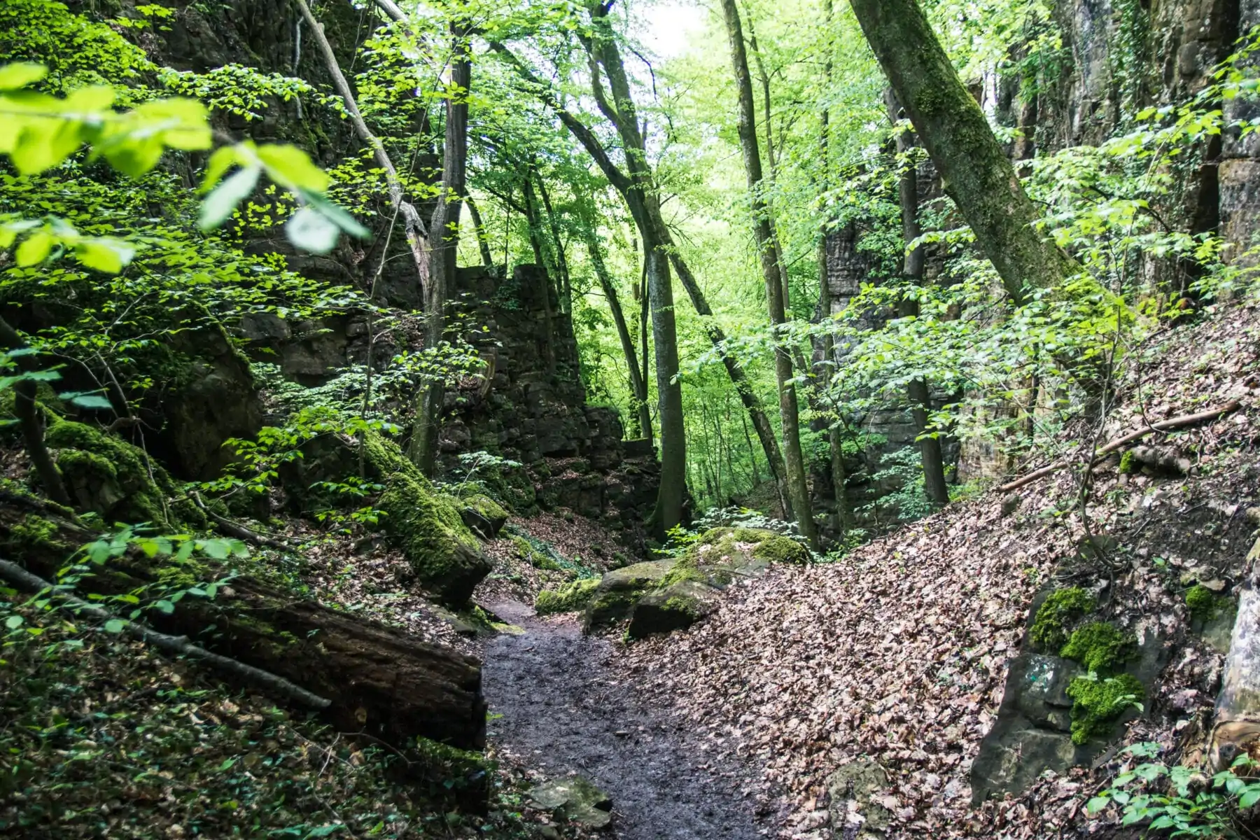 Wolfsschlucht Mullerthal Luxemburg