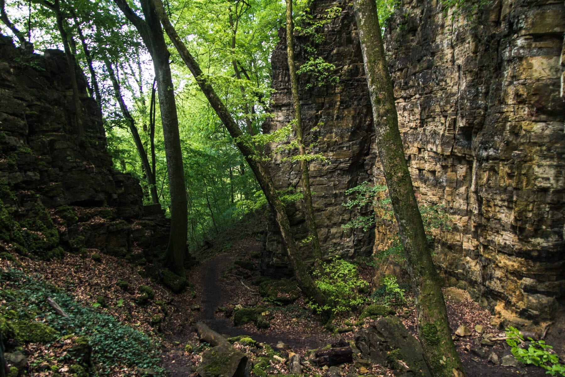 Wolfschlucht Luxemburg