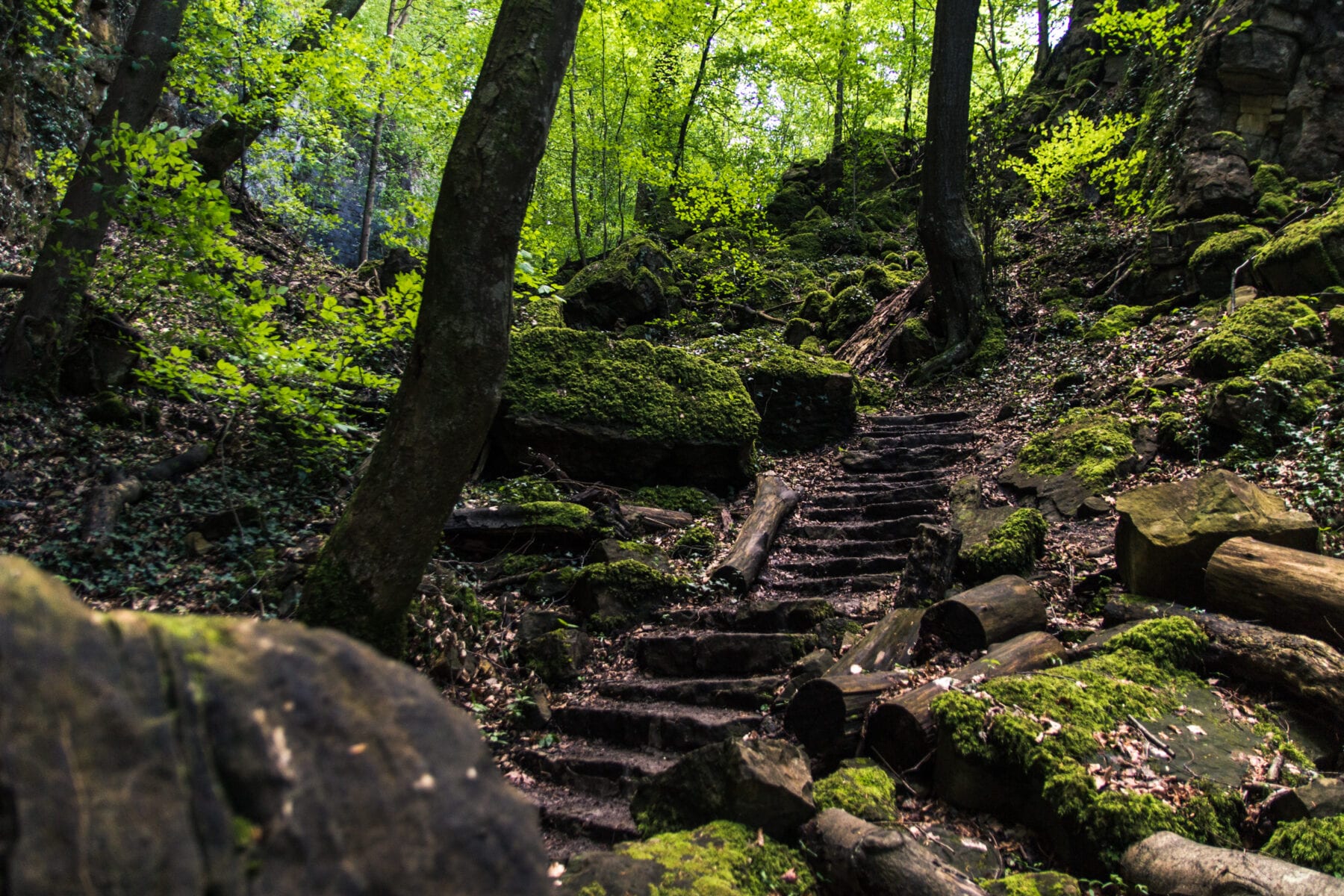 Gorges du Loup Wolfsschlucht Luxemburg