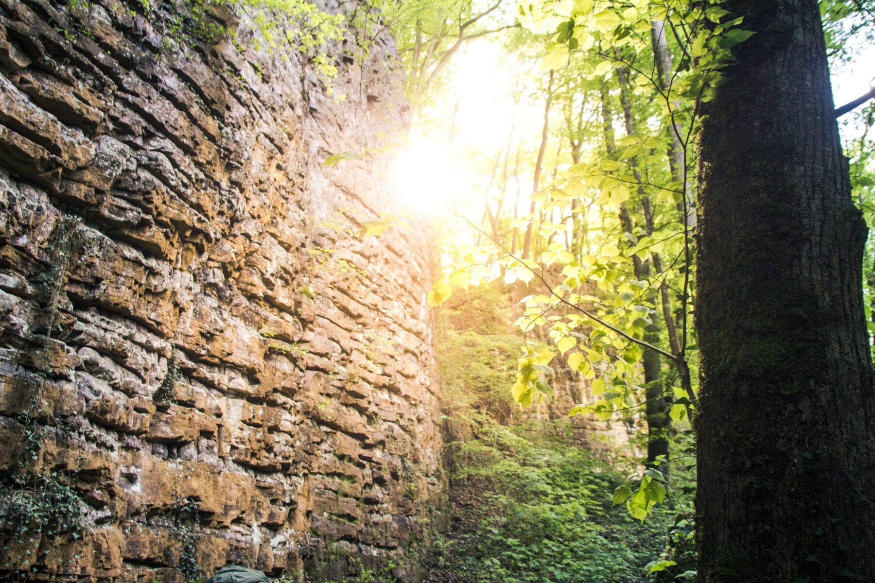 Gorges du Loup Müllerthal