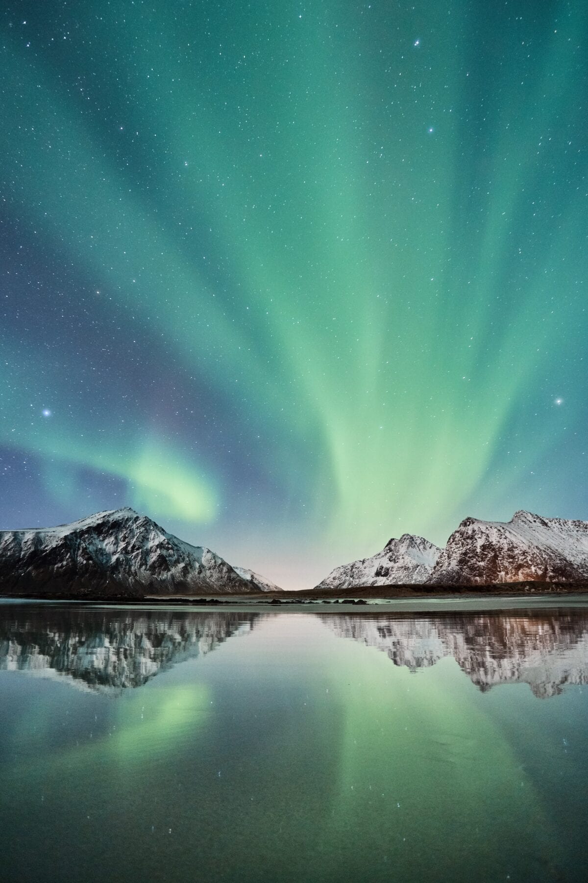 Northern Light