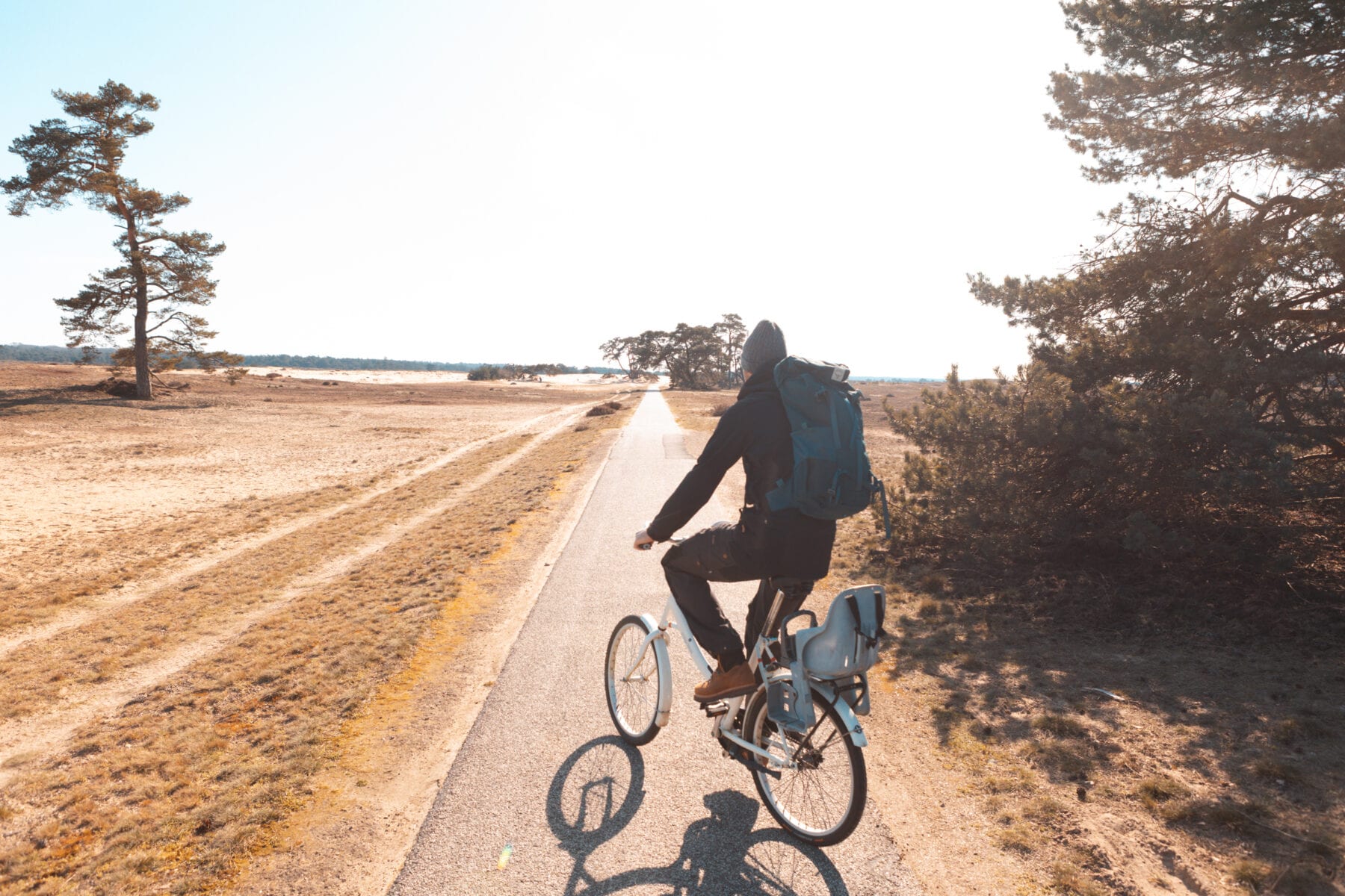 Het Nationale Park De Hoge Veluwe fietsen