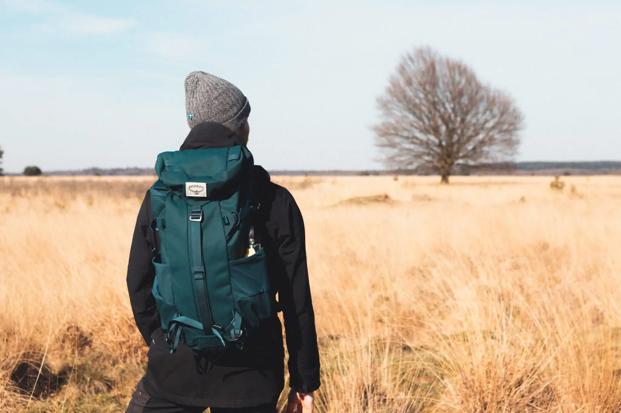 Het Nationale Park De Hoge Veluwe header