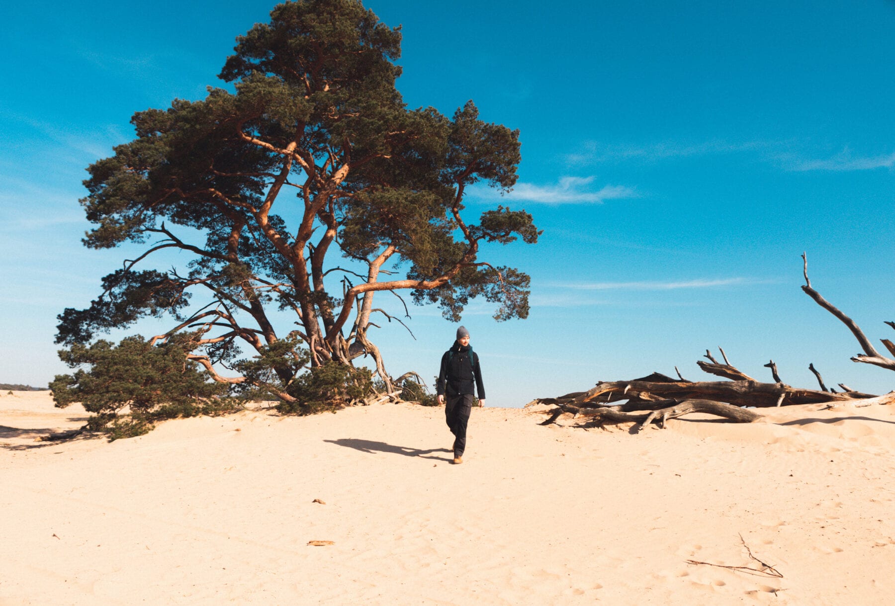 Het Nationale Park De Hoge Veluwe zand