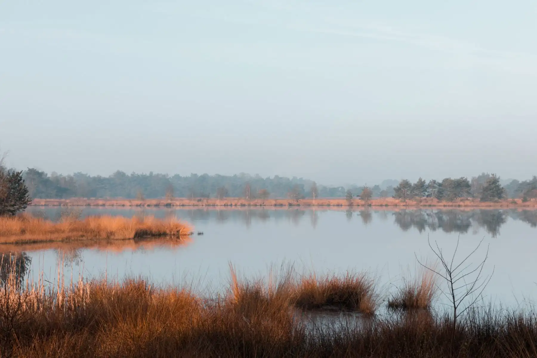 Huisven Kampina