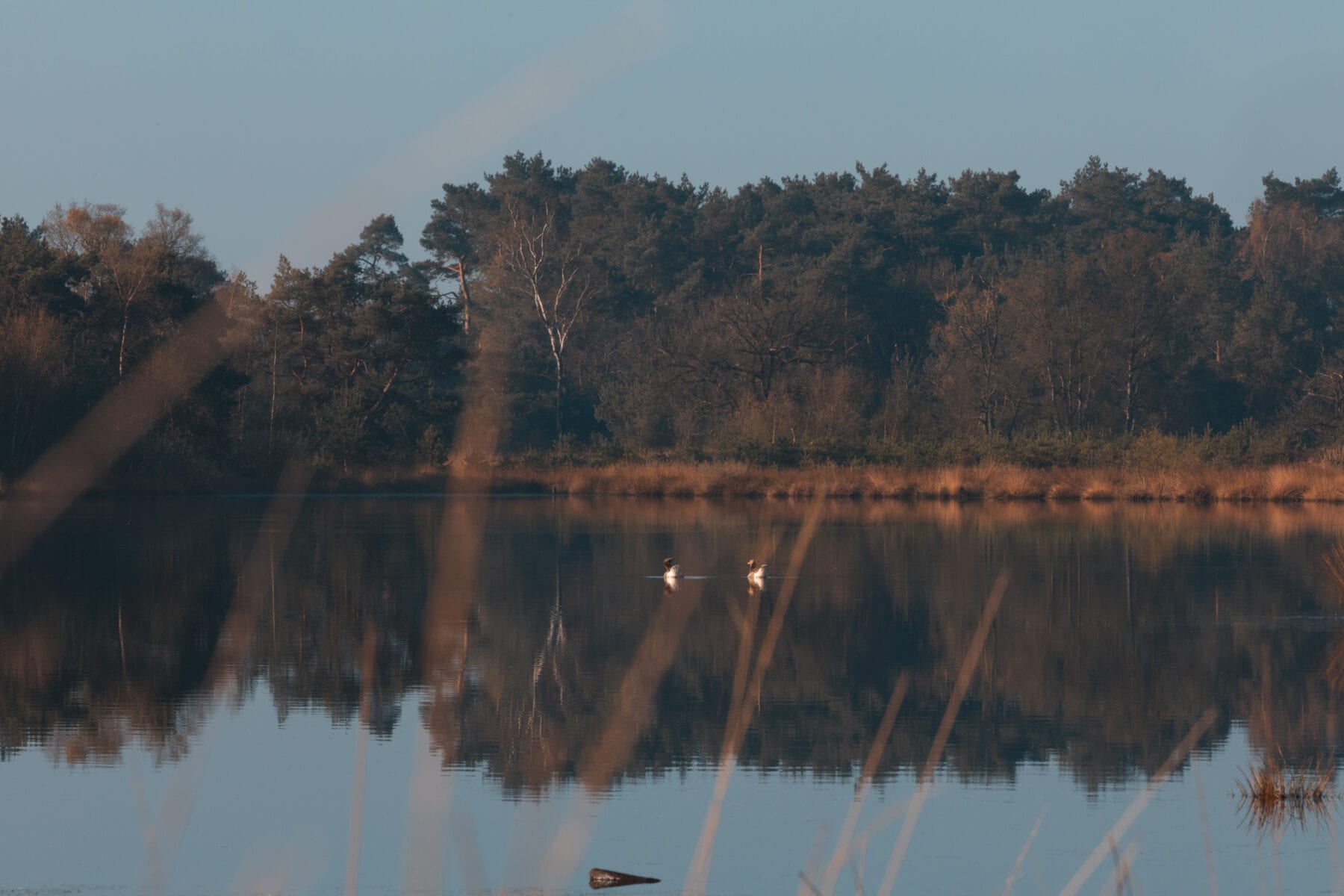 De Huisvennenroute Kampina