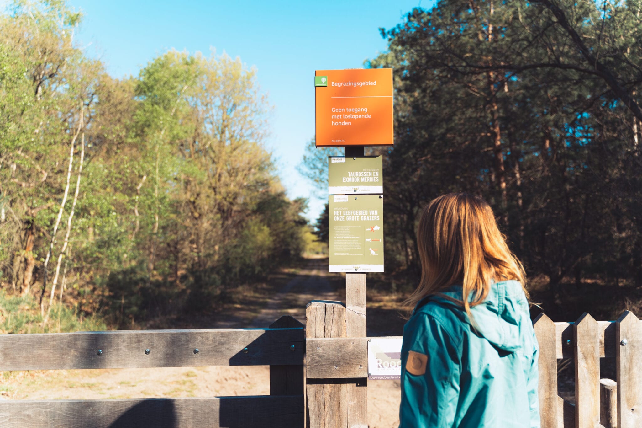 Wandelen in de Maashorst