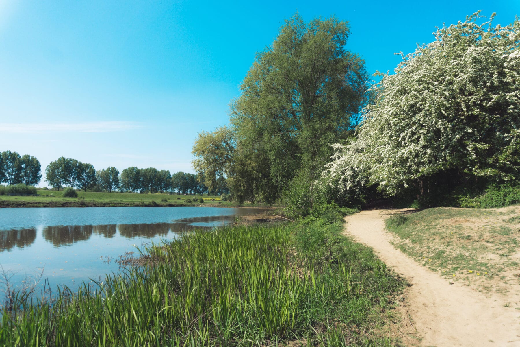 Maasuiterwaarden wandelen Den Bosch bij de Empelse Waard