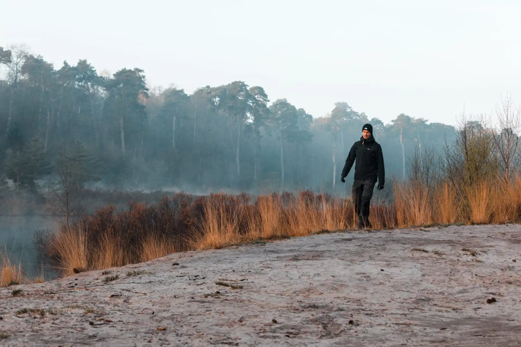 Oisterwijkse bossen en vennen Voorste Goorven heide