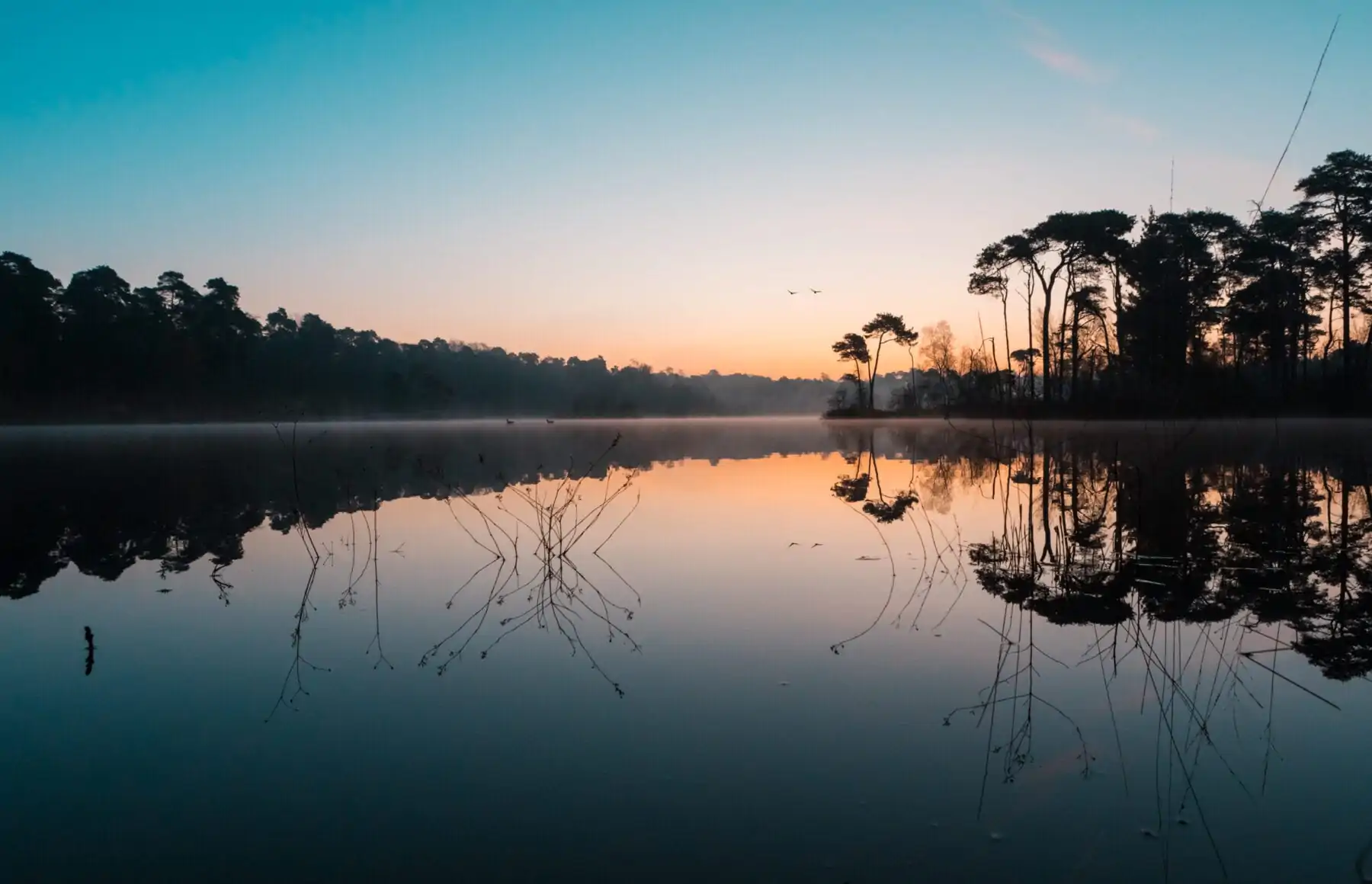 Oisterwijkse Bossen en Vennen