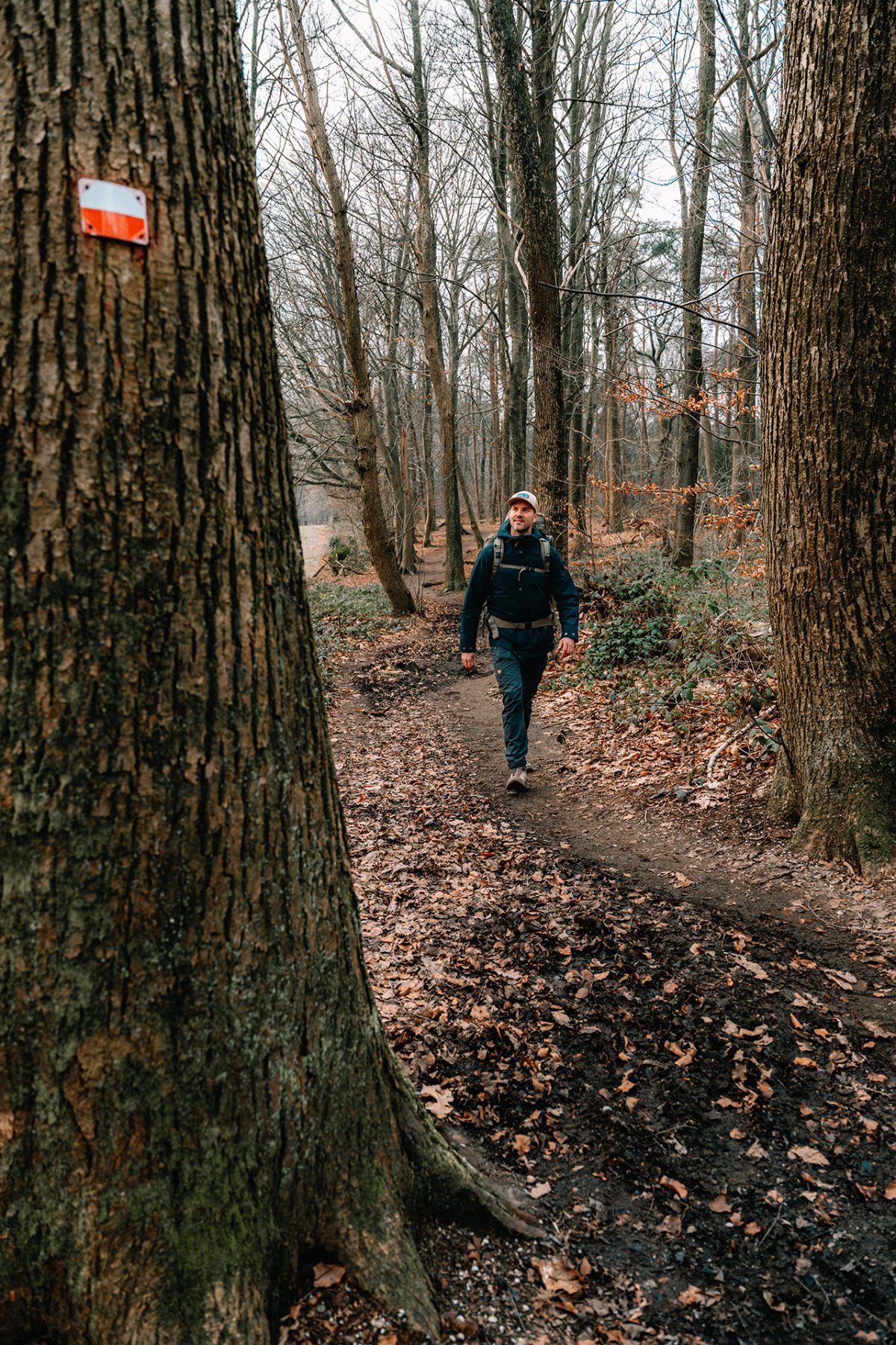 LAW wandelen in Nederland