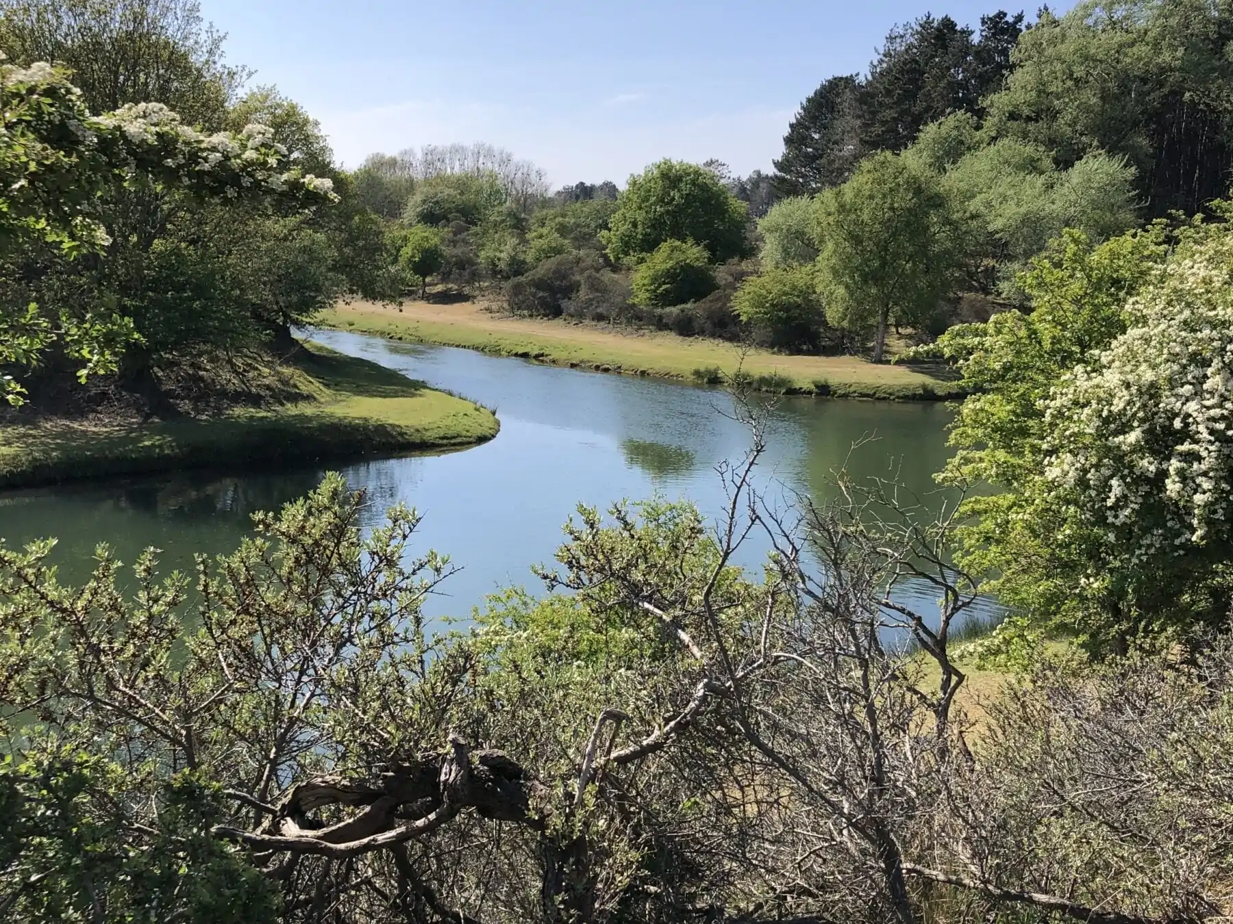 wandelen Amsterdamse Waterleidingduinen