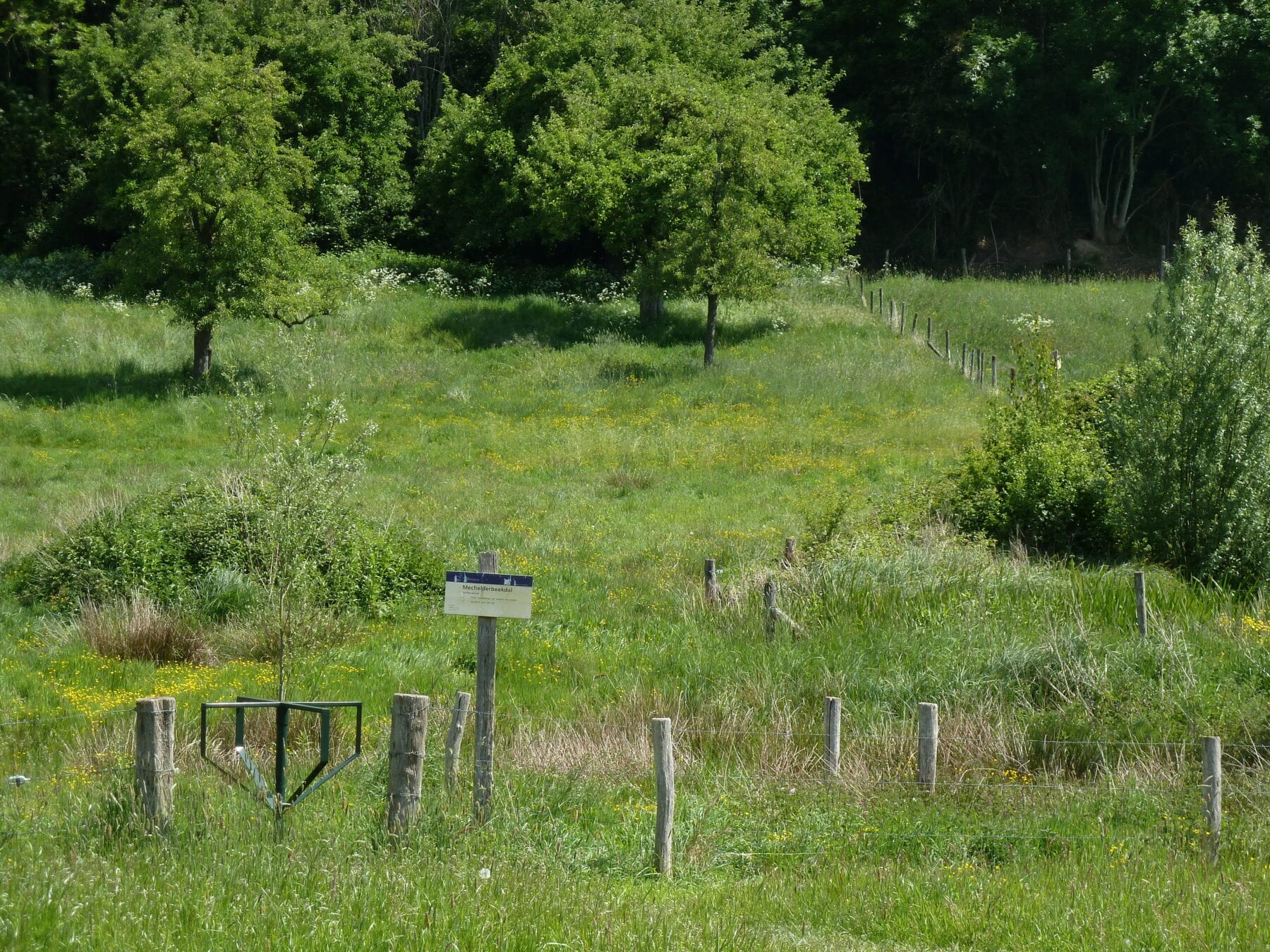 Heuvels Zuid-Limburg