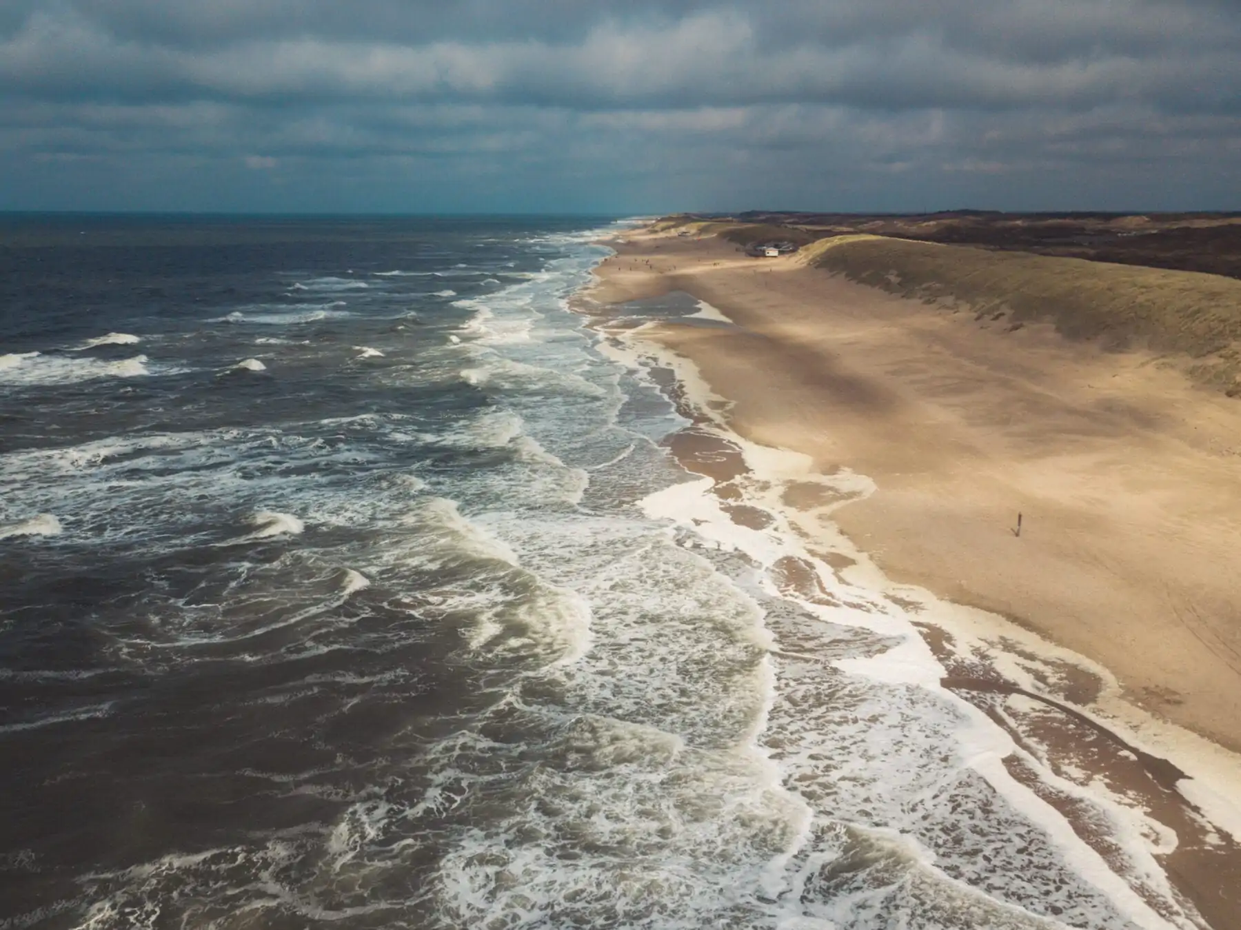 het waddengebied