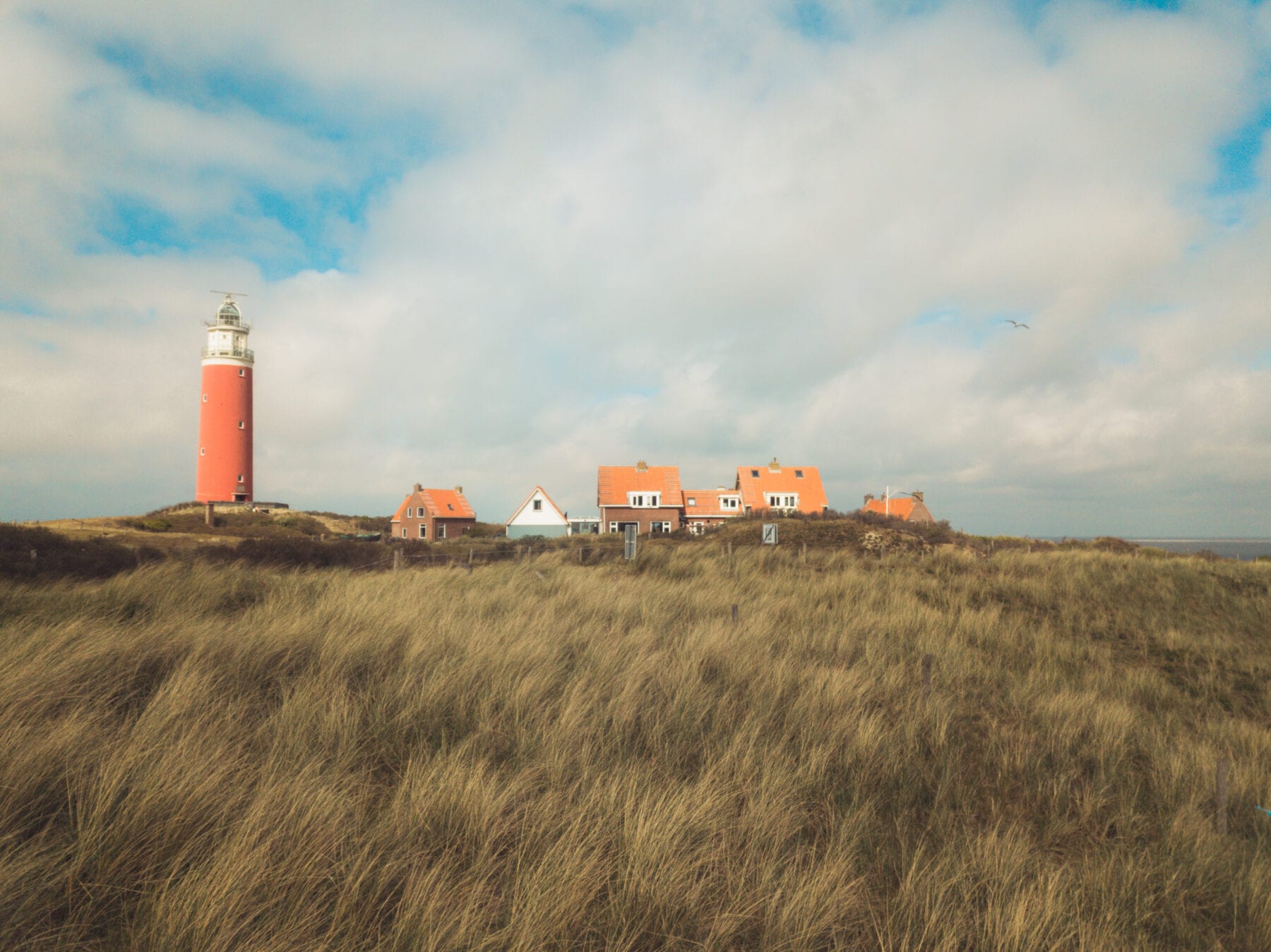 Vakantie naar Texel vuurtoren