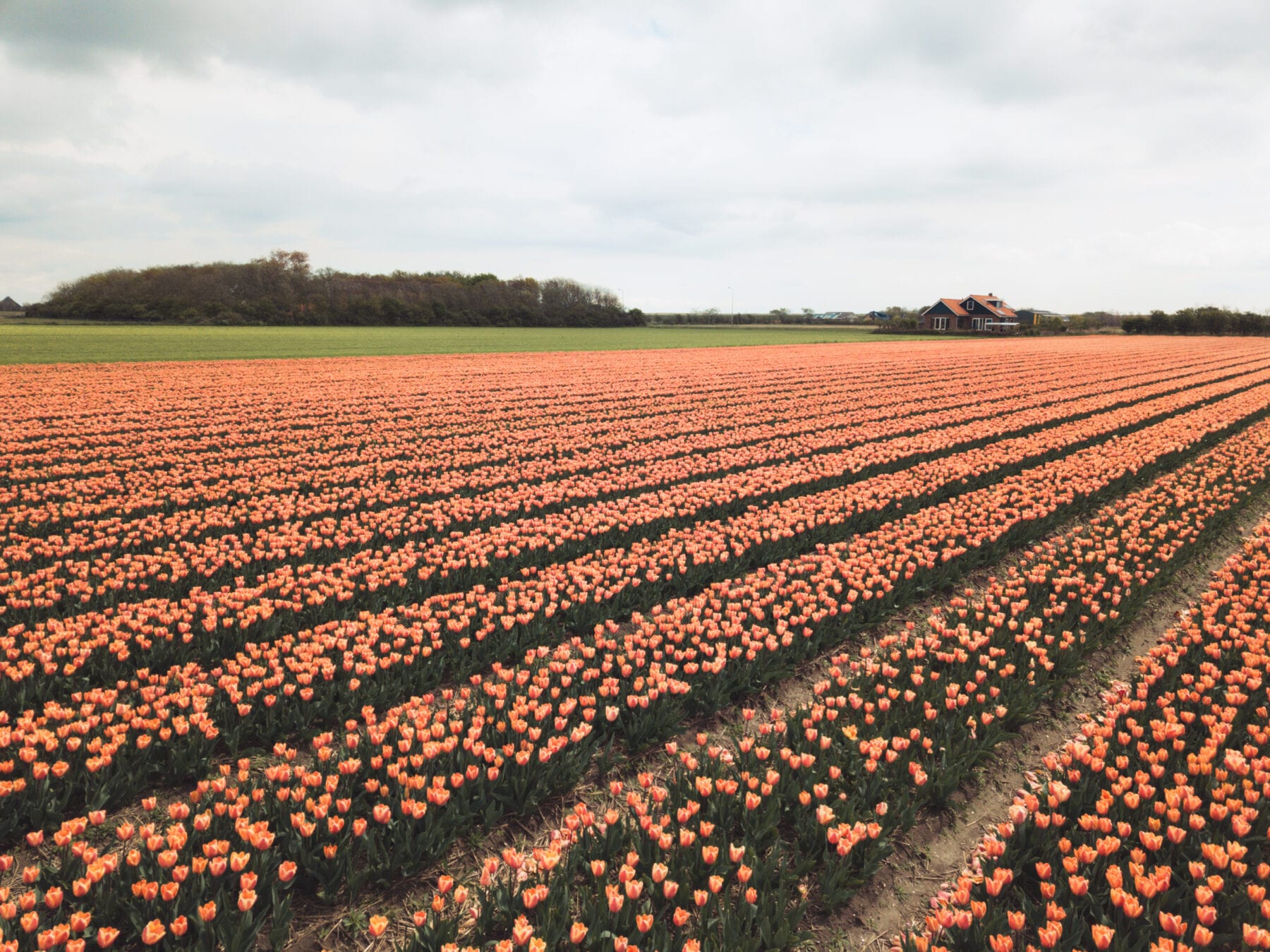 het waddengebied