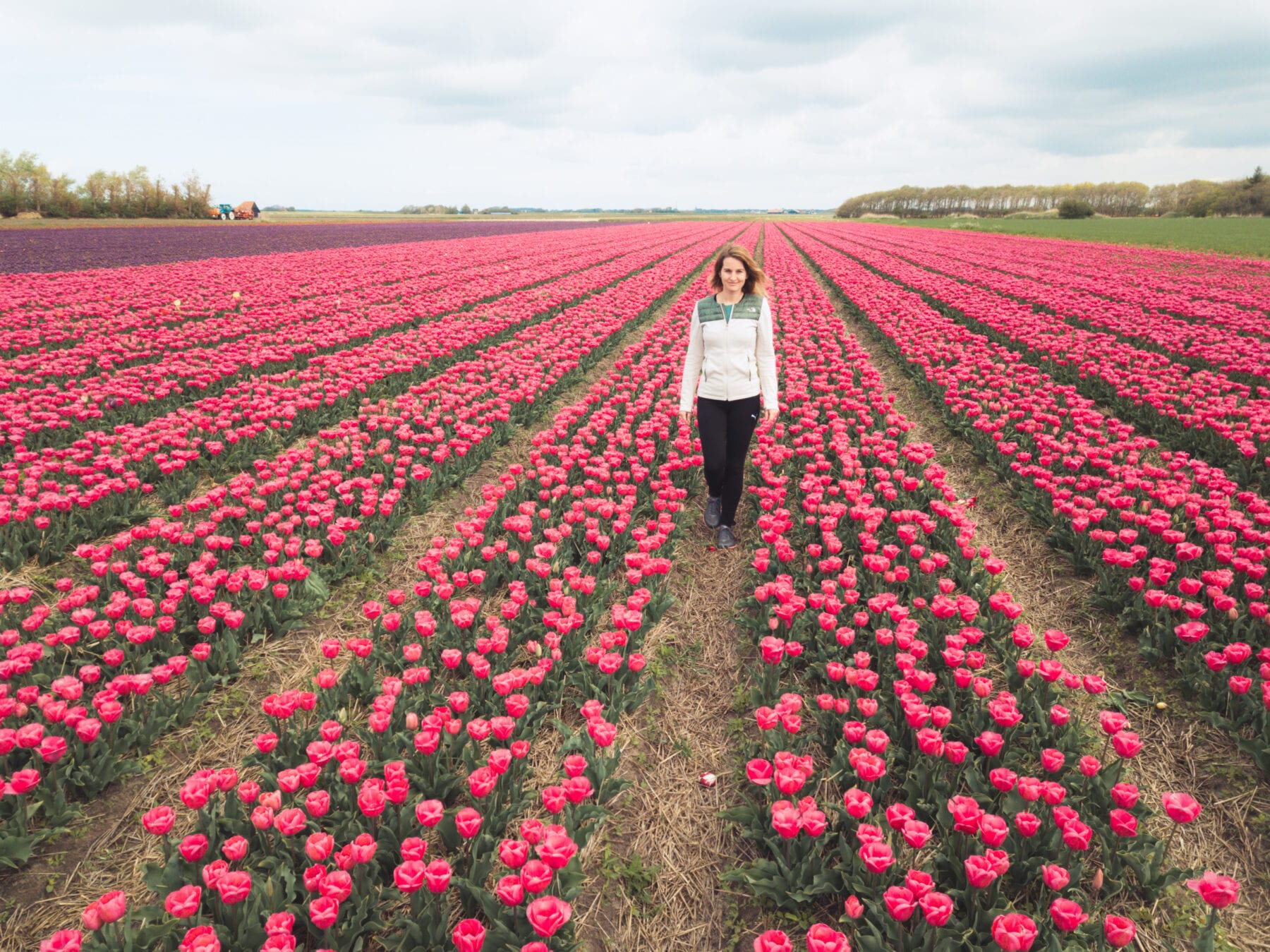 Vakantie naar Texel header