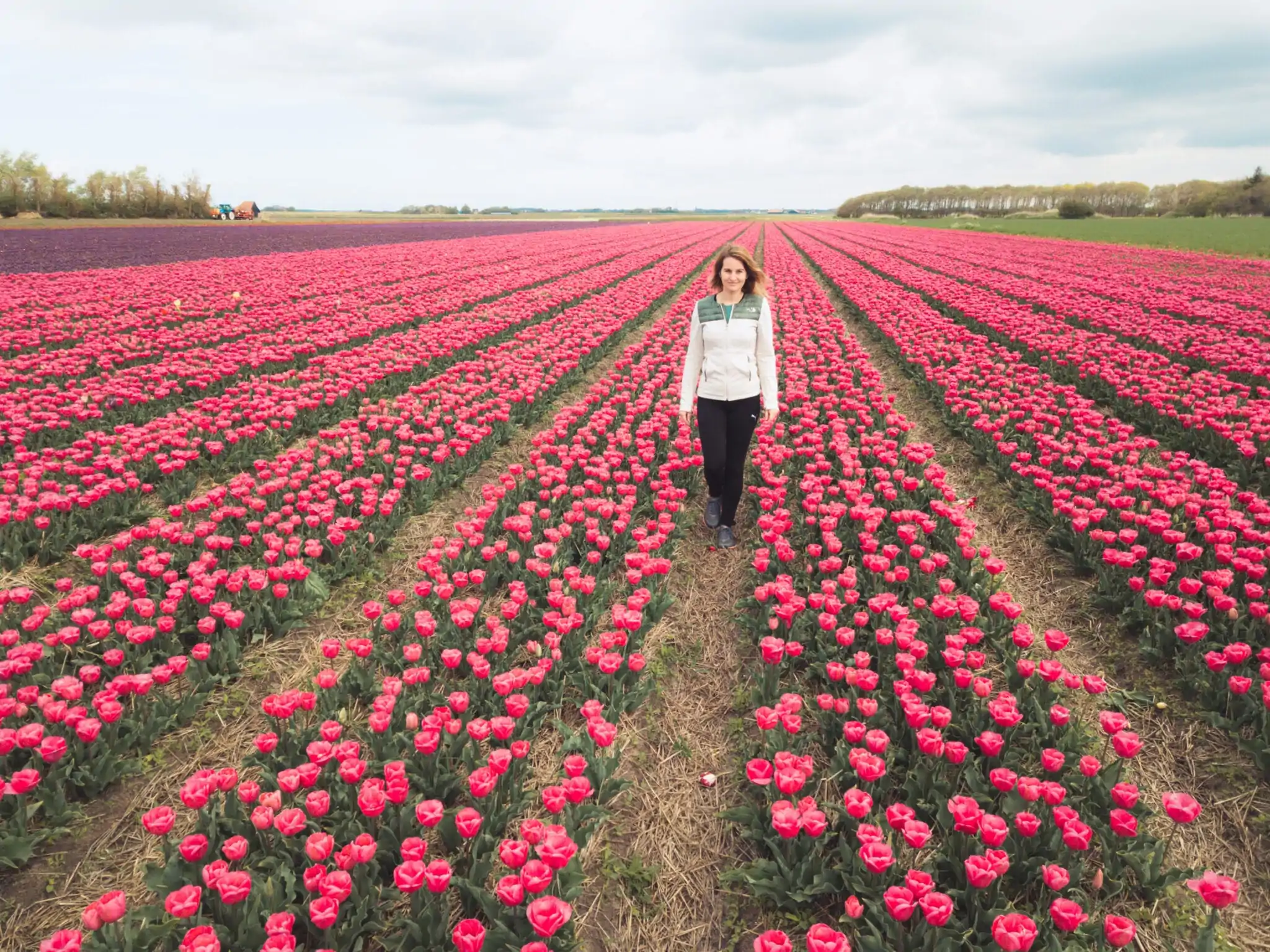 Vakantie naar Texel header