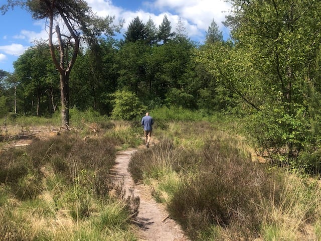 wandelen Utrechtse Heuvelrug