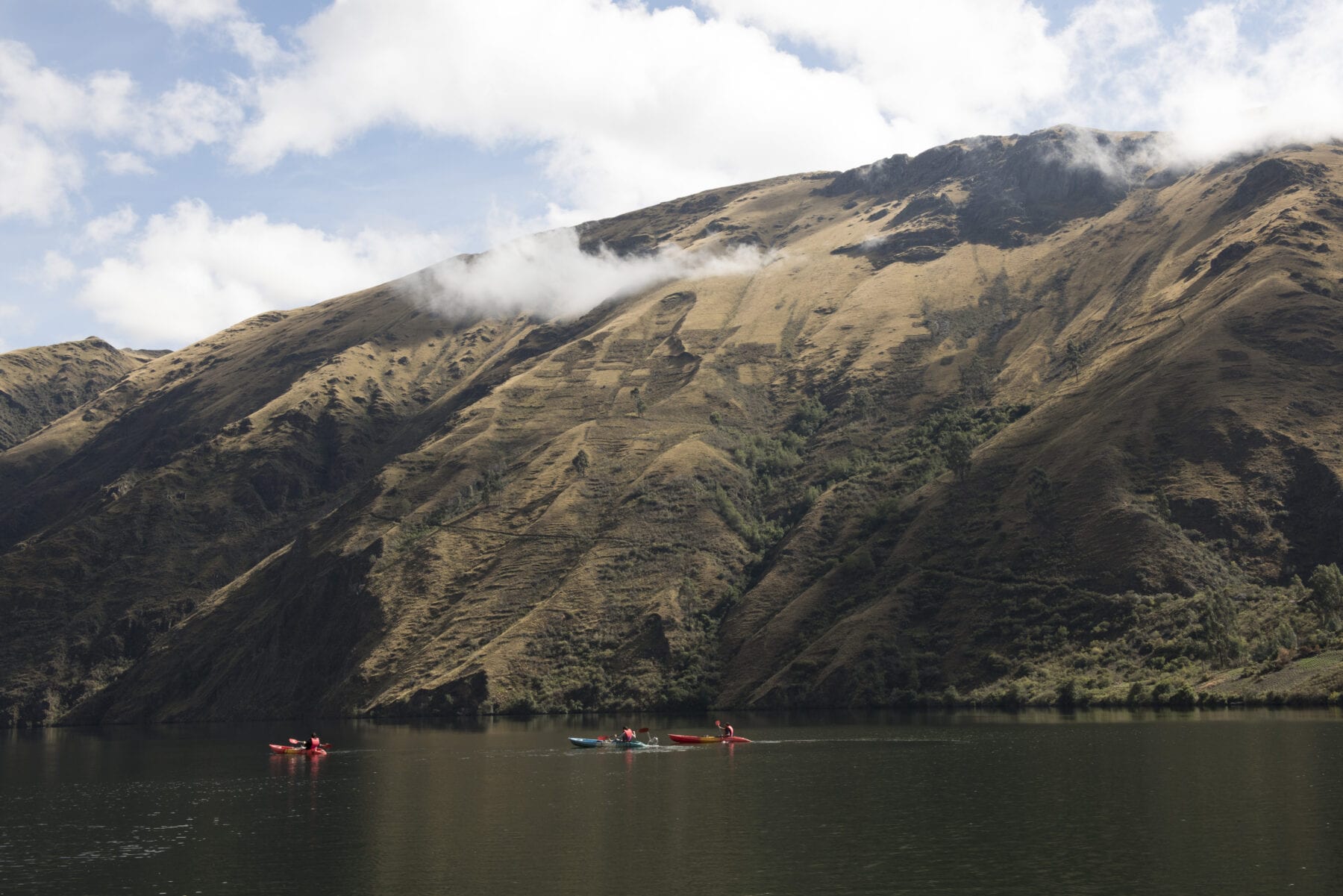 peru biodiversiteit