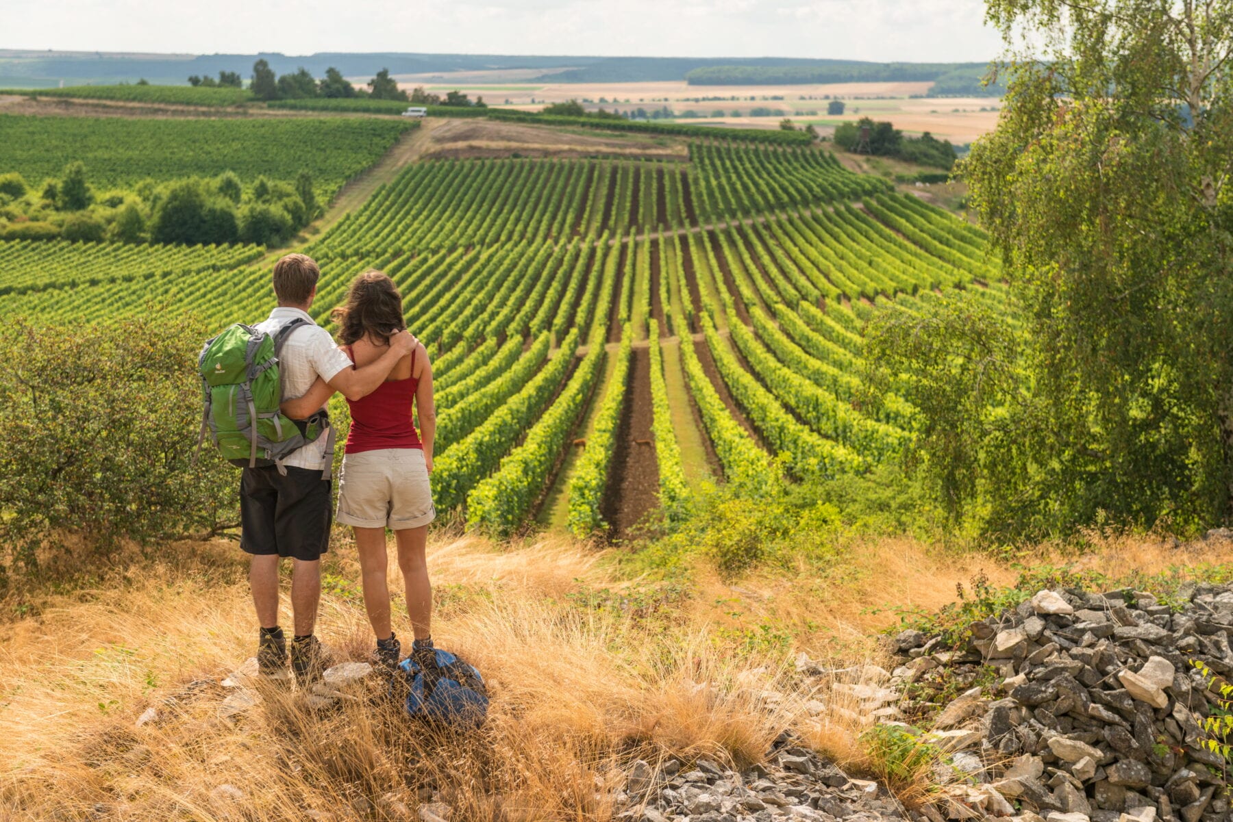 Rheinhessen