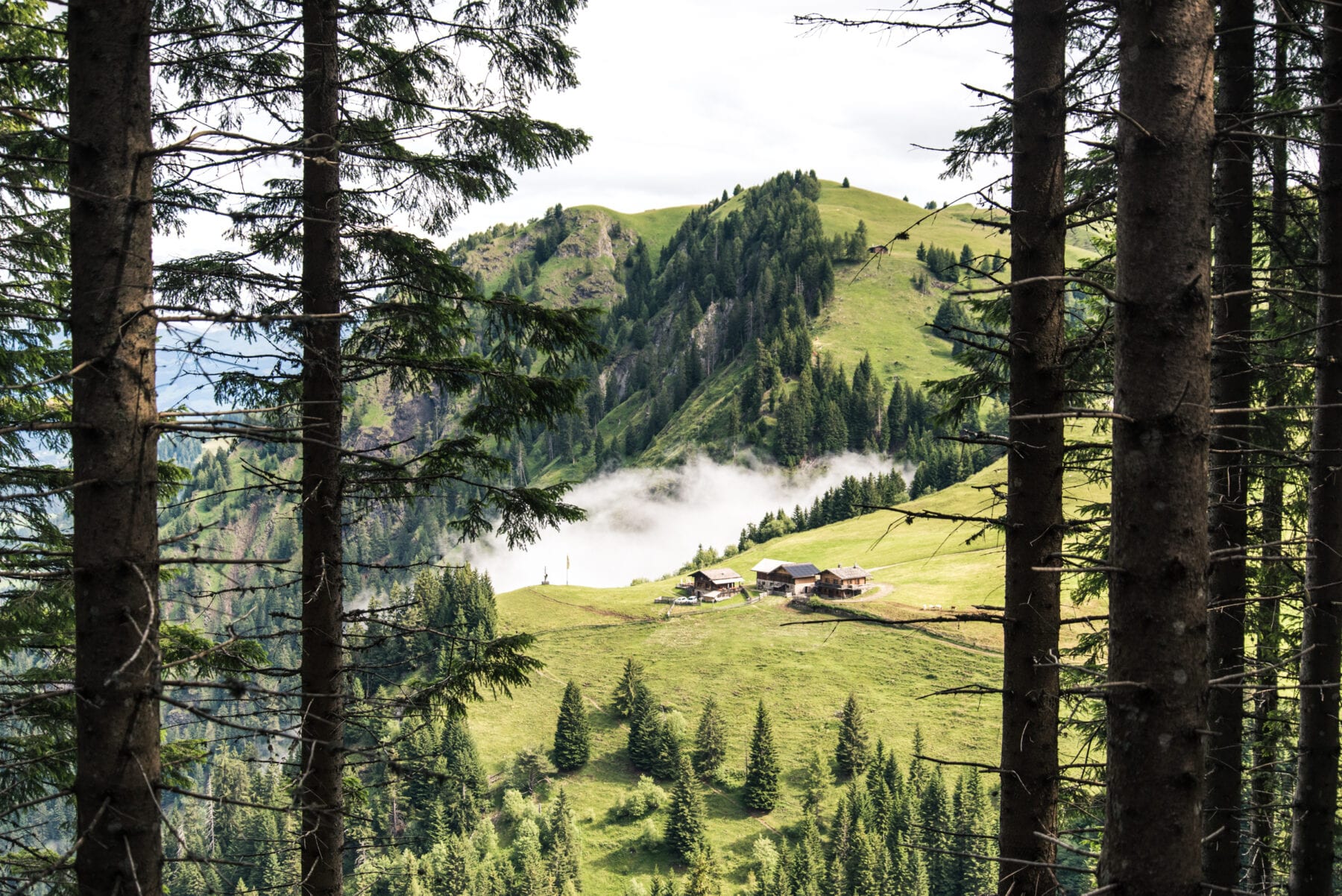 Wandelen Seiser Alm