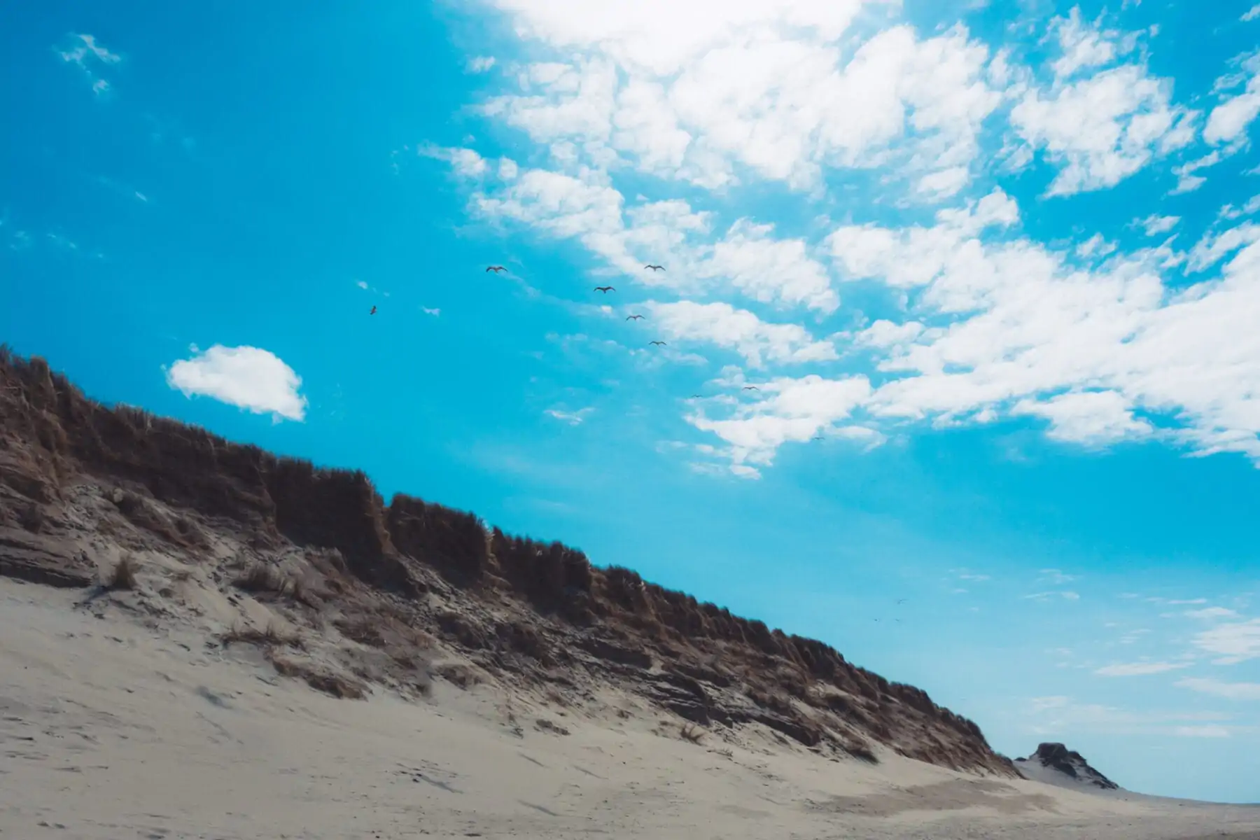 Wandelen op Texel