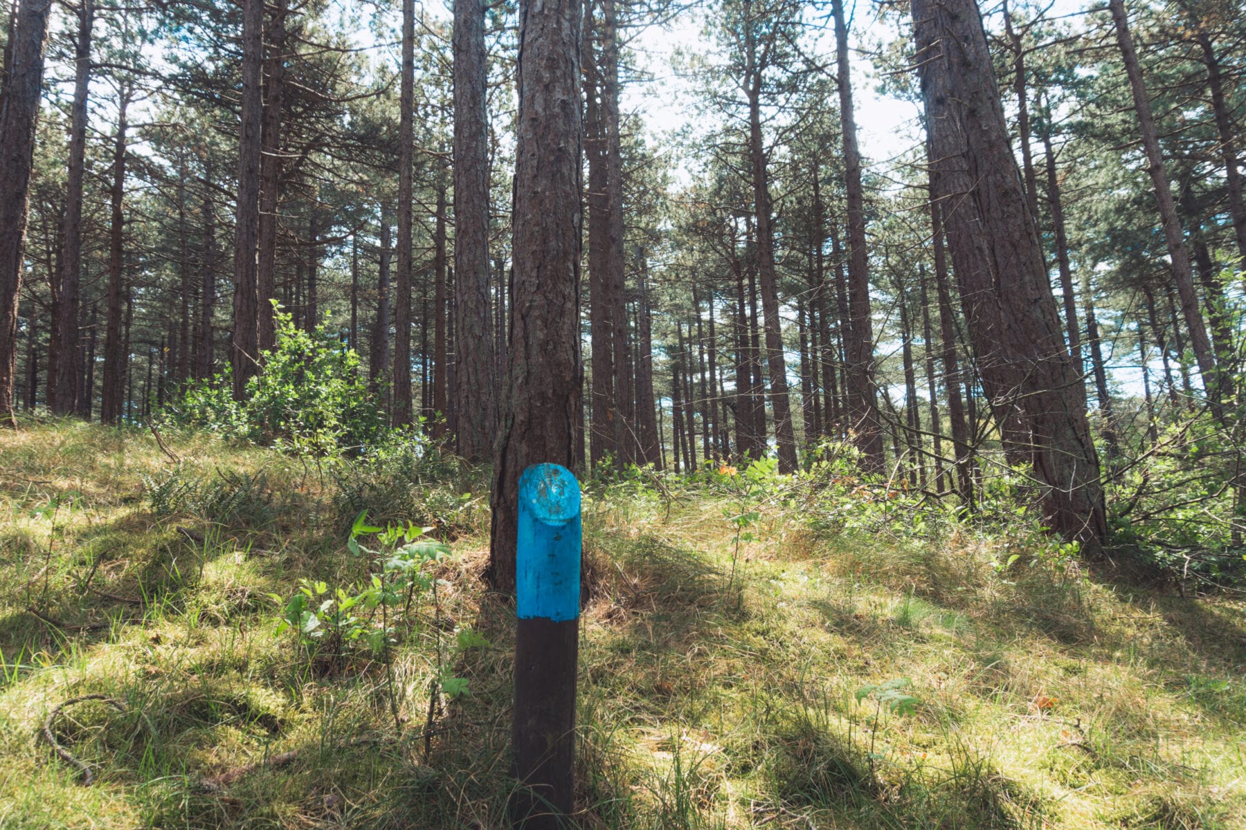 wandelroutes Texel-Het Geheim pad