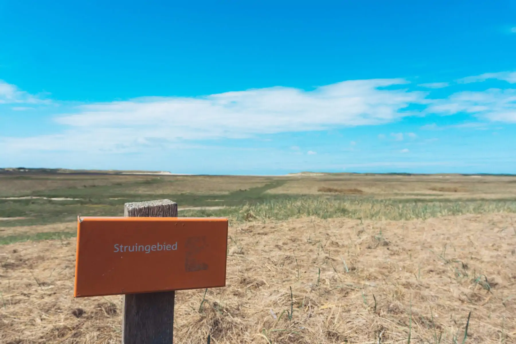 Wandelen op Texel