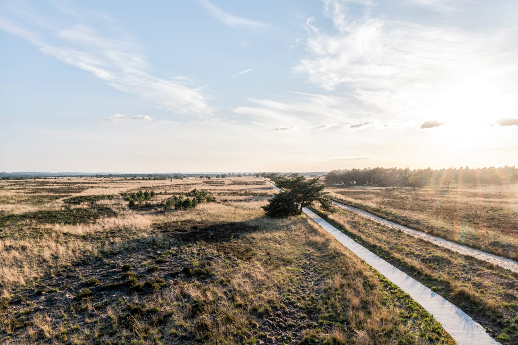 Nationaal park Veluwezoom Jeroen van Rooijen